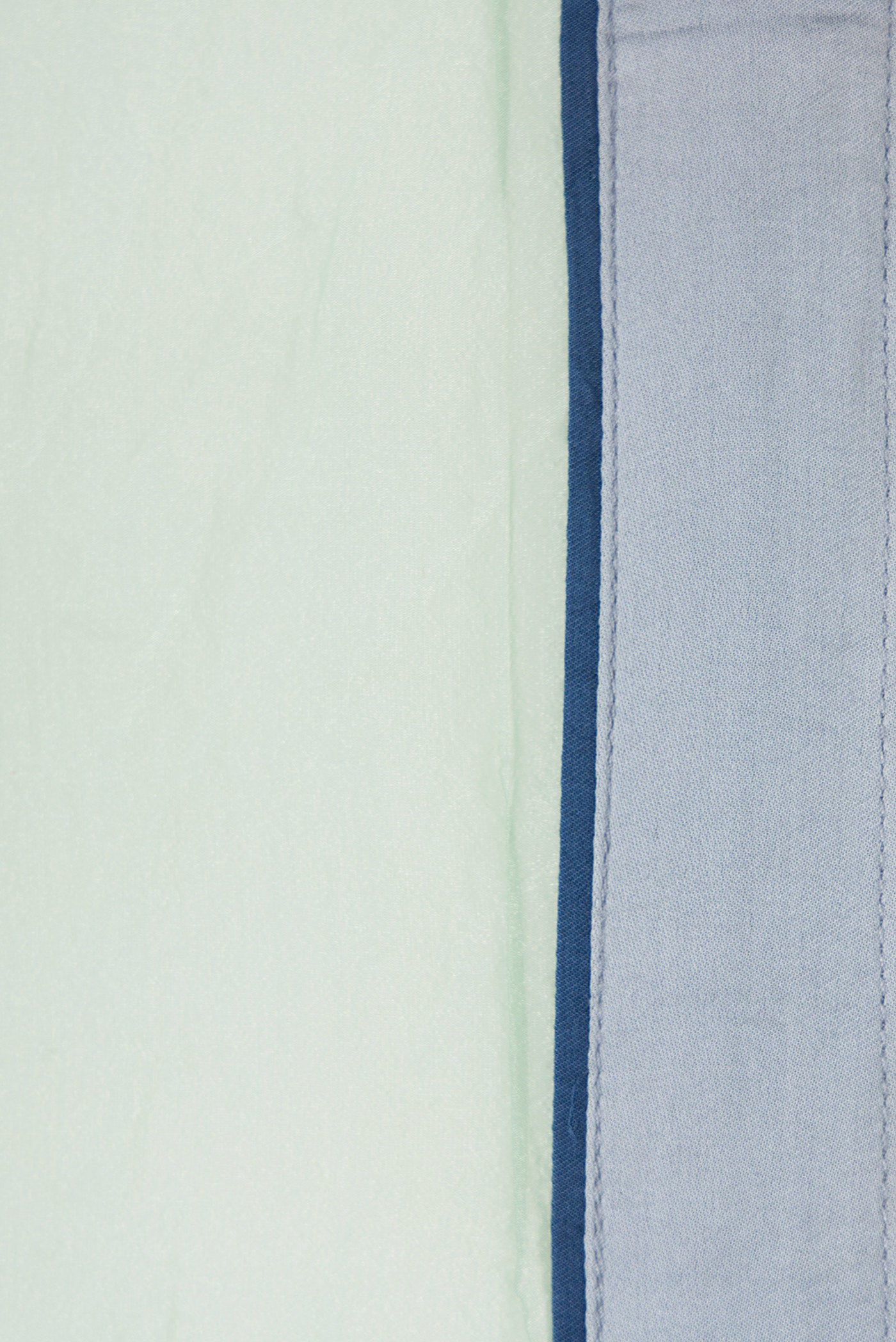 Border image of Pista Green Dual Tone Organza Silk Saree with Plain Body and Plain Border. 