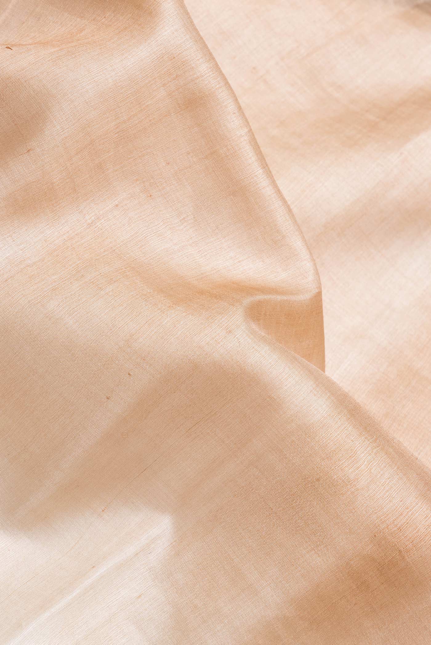 Close up of Beige Dual Tone Tussar Silk Saree with Embroidery on the body and Zari Border.  displaying folds