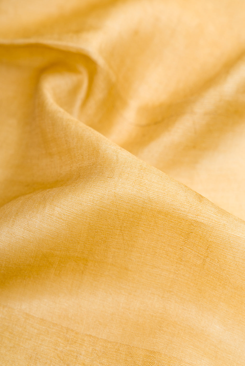 Close up of Sandal Tussar Silk Saree with Plain Body and Fancy Border.  displaying folds