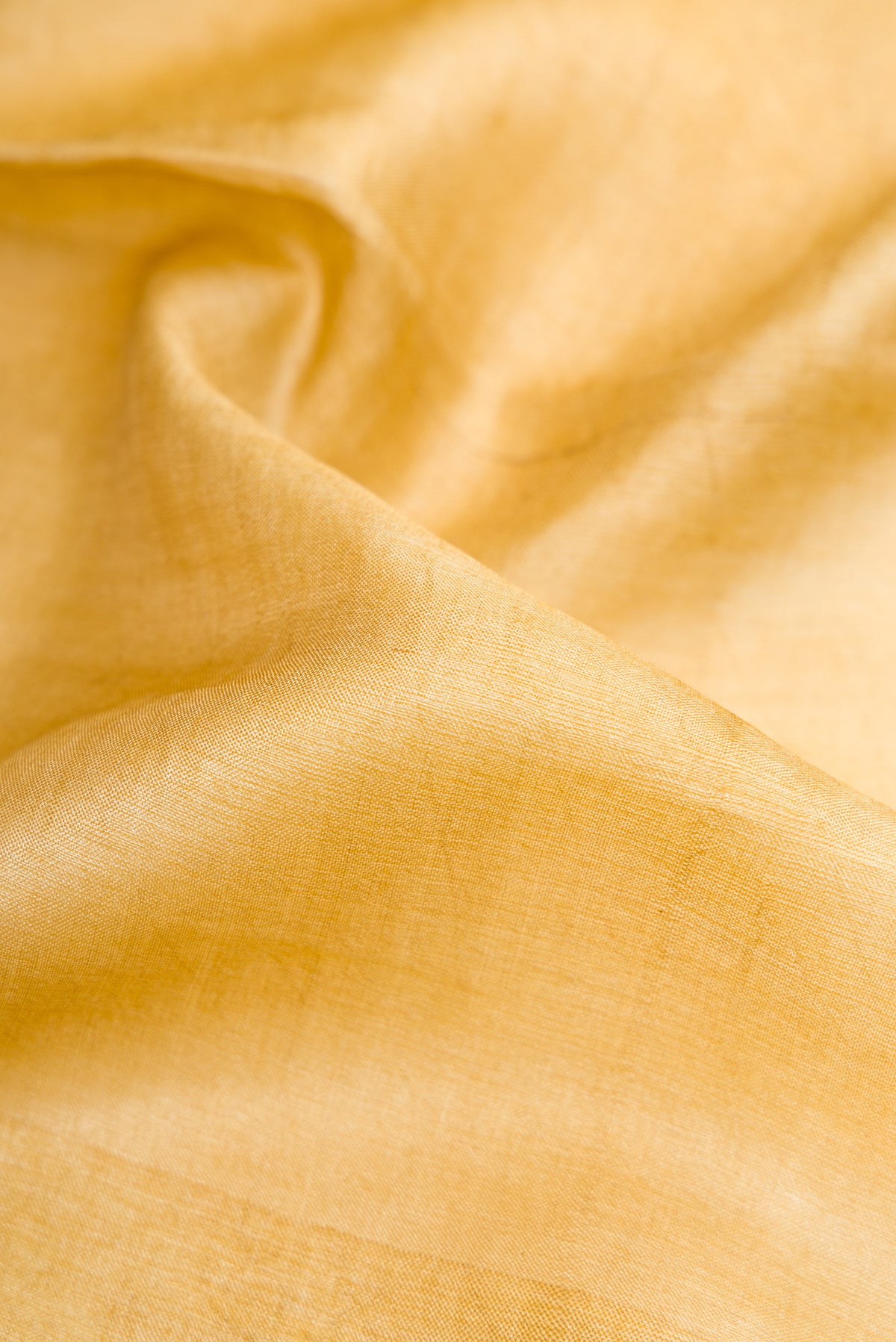 Close up of Sandal Tussar Silk Saree with Plain Body and Fancy Border.  displaying folds