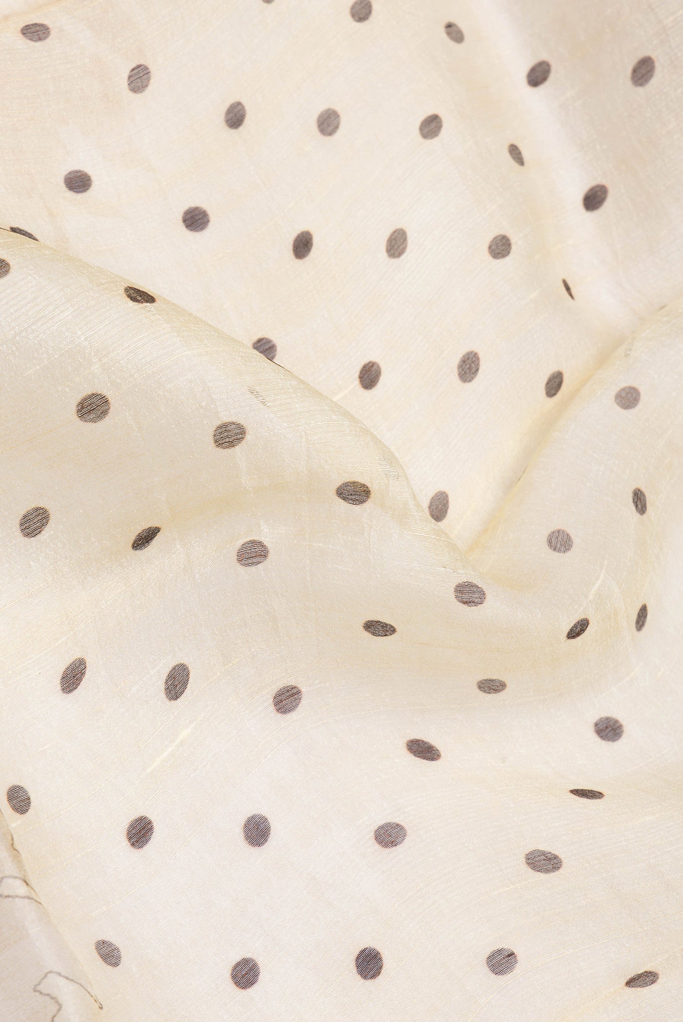 Close up of Sandal Dual Tone Organza Silk Saree with Printed design on the body and Printed Border.  displaying folds