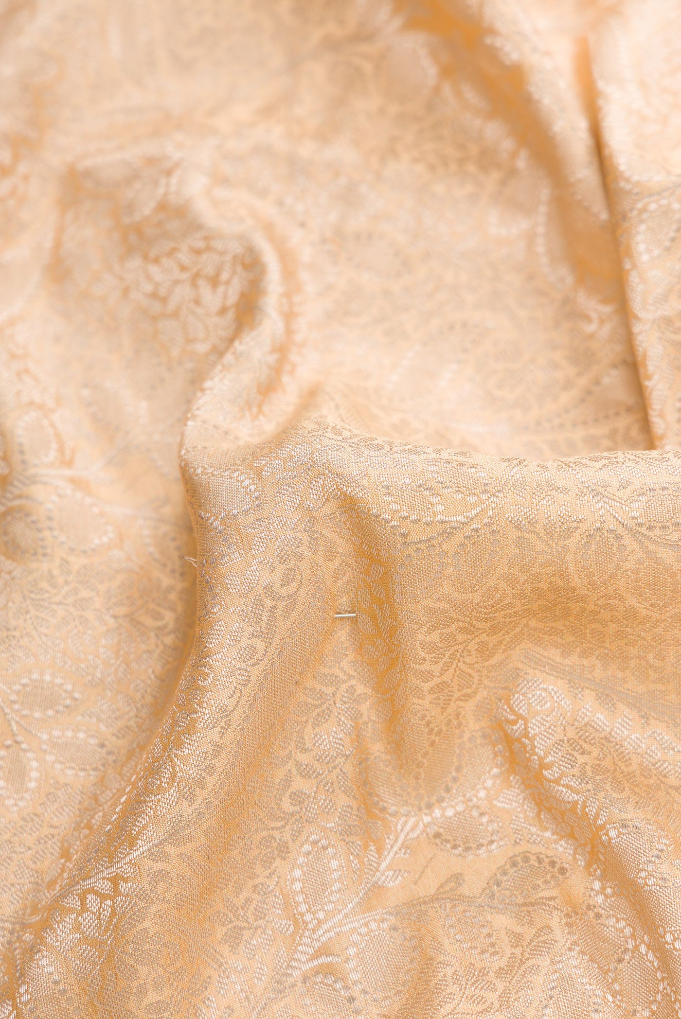 Close up of Beige Dual Tone Tussar Silk Saree with Printed design on the body and Printed Border.  displaying folds