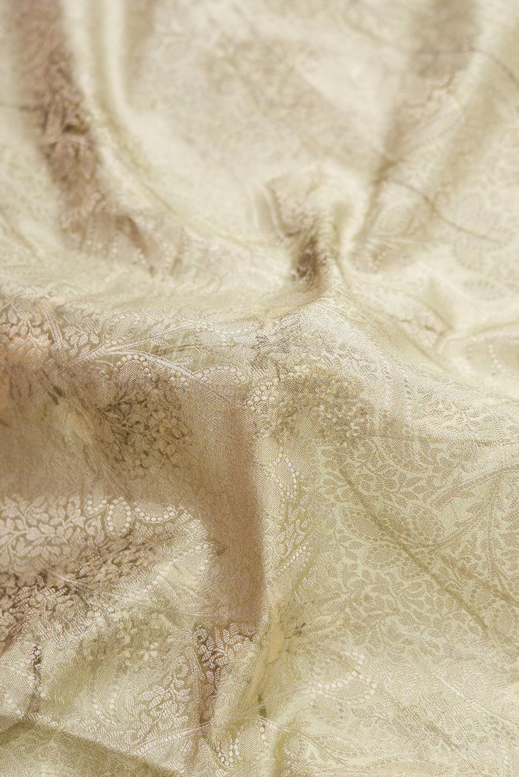 Close up of Light Green Dual Tone Tussar Silk Saree with Printed design on the body and Printed Border.  displaying folds