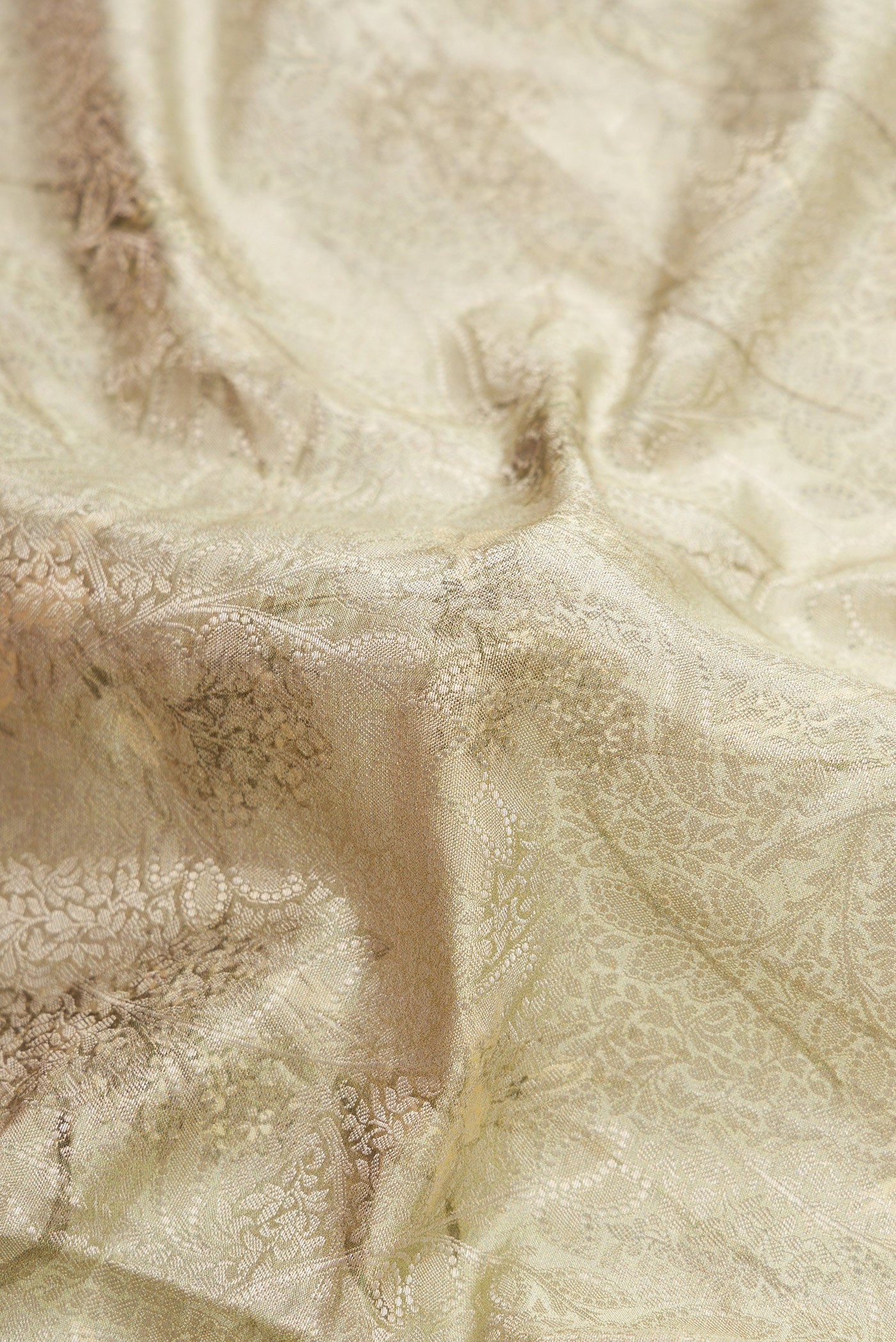 Close up of Light Green Dual Tone Tussar Silk Saree with Printed design on the body and Printed Border.  displaying folds
