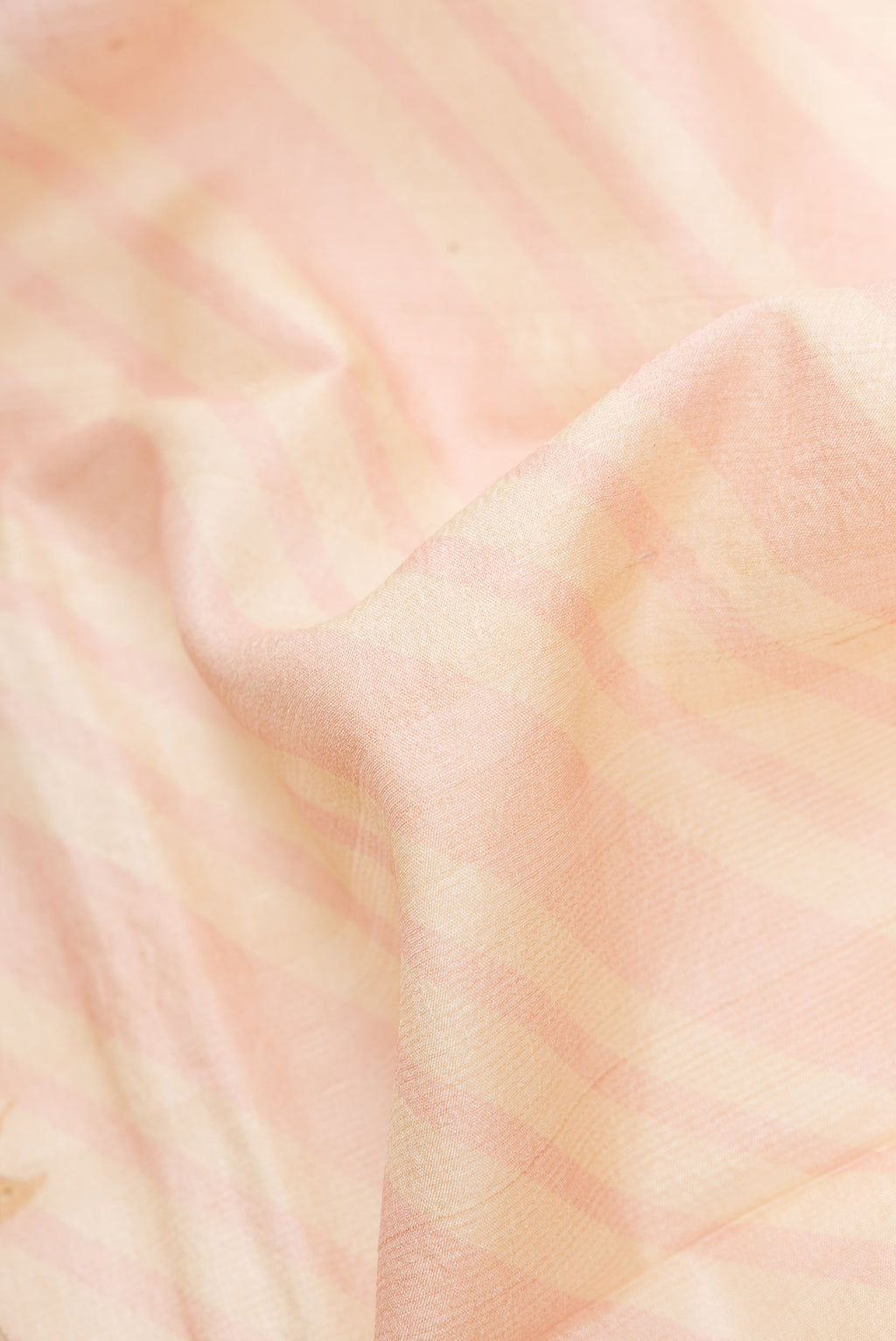 Close up of Beige Dual Tone Tussar Silk Saree with Printed design on the body and Thread Border.  displaying folds