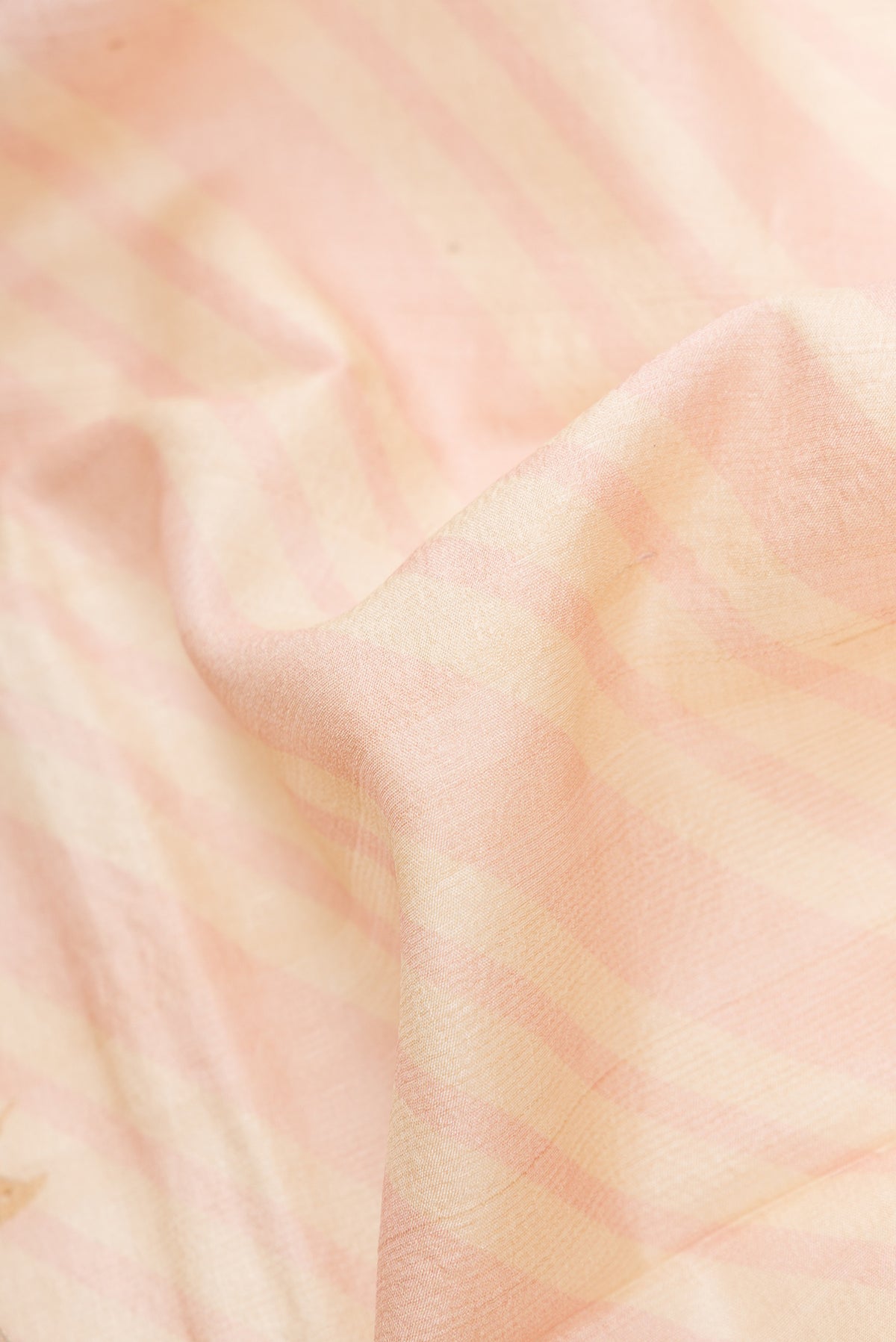 Close up of Beige Dual Tone Tussar Silk Saree with Printed design on the body and Thread Border.  displaying folds