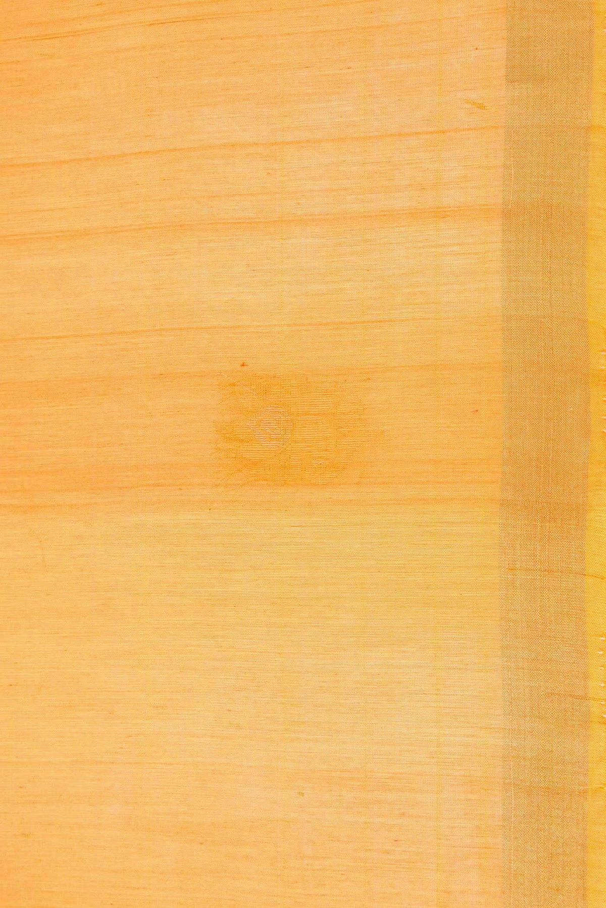 Border image of Mustard Dual Tone Silk Cotton Saree with Zari Butta on the body and Zari Border