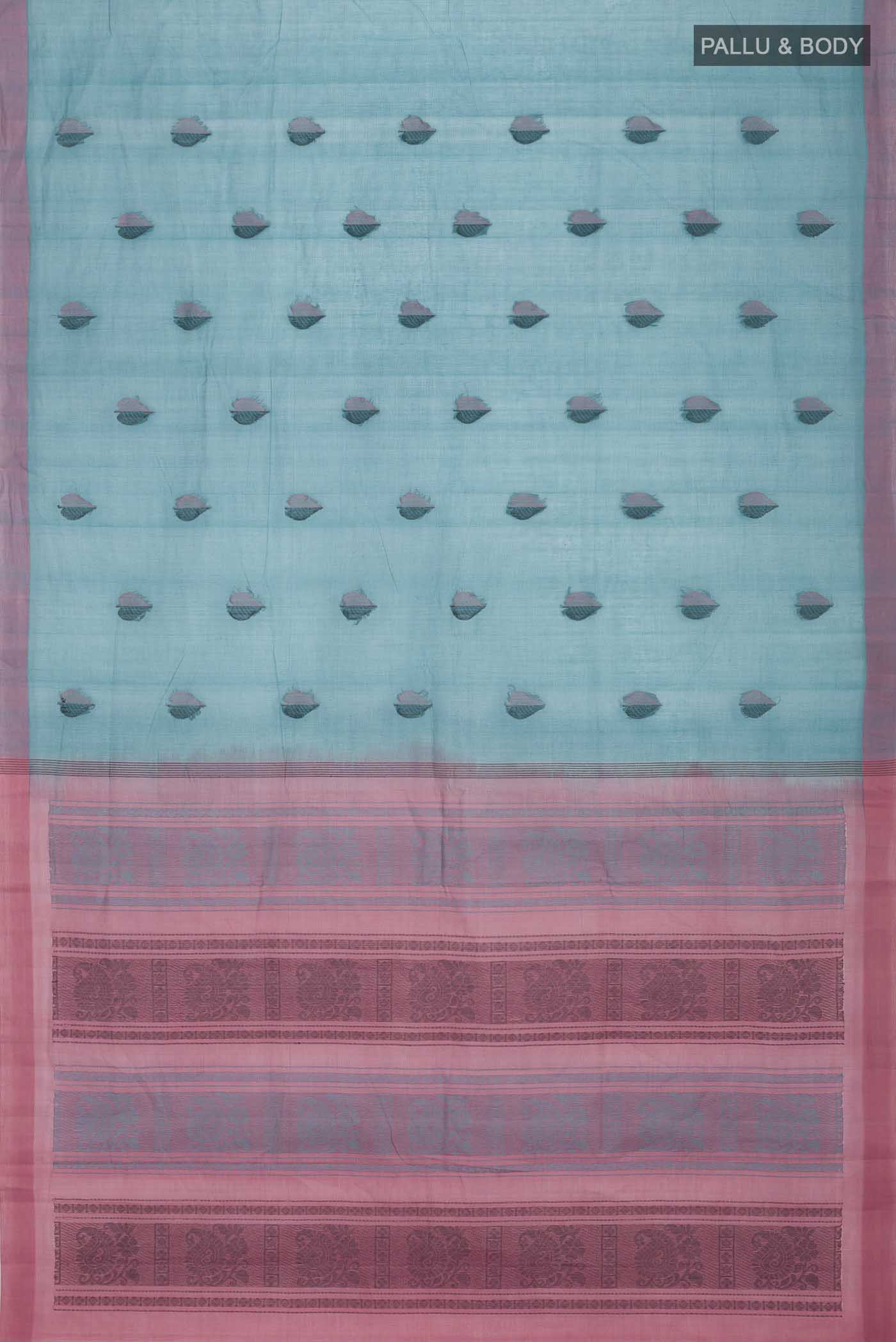 pallu body