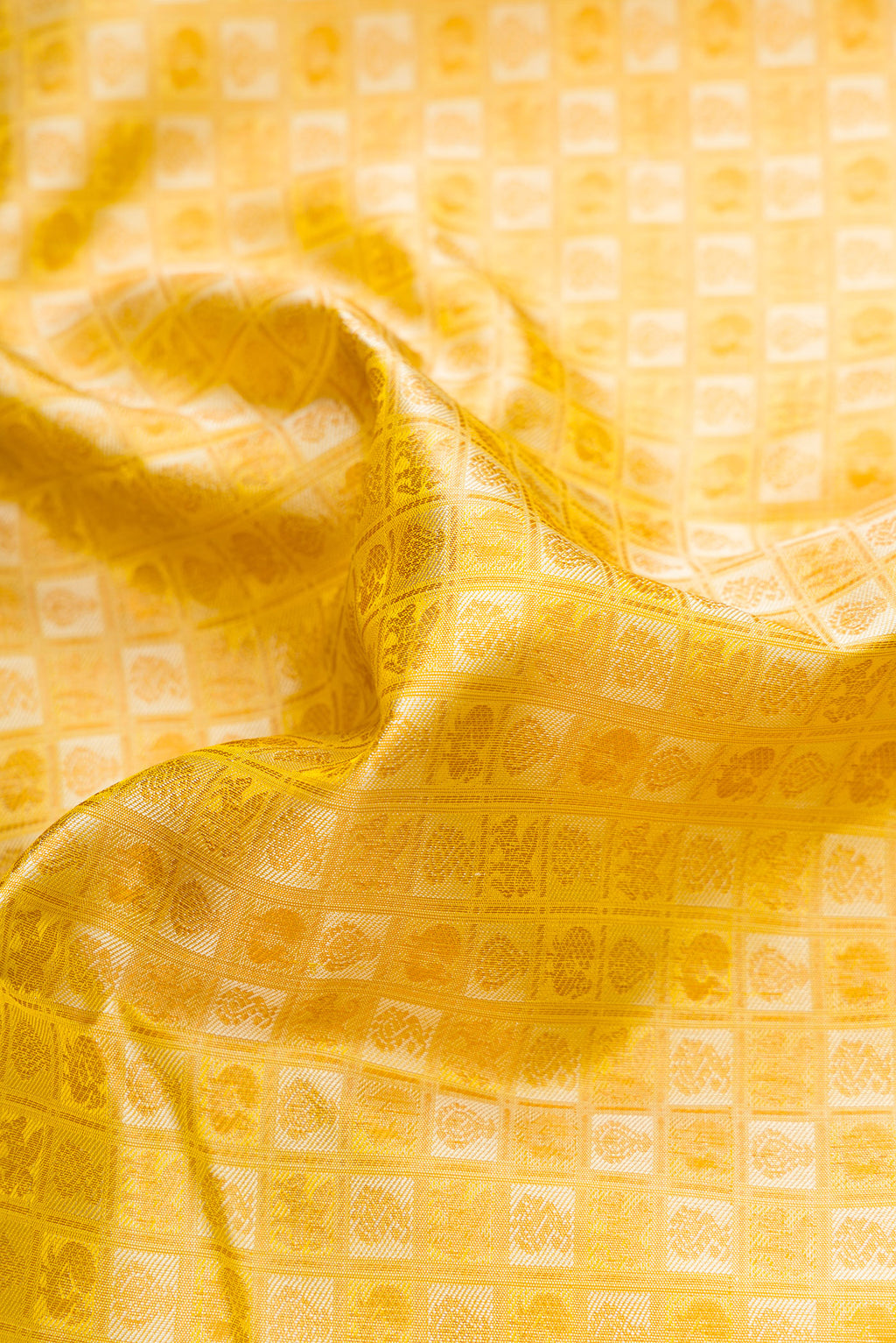 Close up of Gold Dual Tone Kanjivaram Silk Saree with Jacquard design on the body and Thread Border.  displaying folds