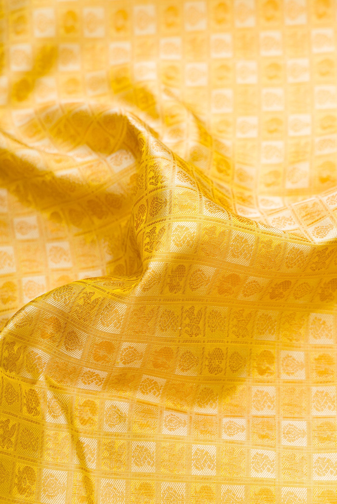 Close up of Gold Dual Tone Kanjivaram Silk Saree with Jacquard design on the body and Thread Border.  displaying folds