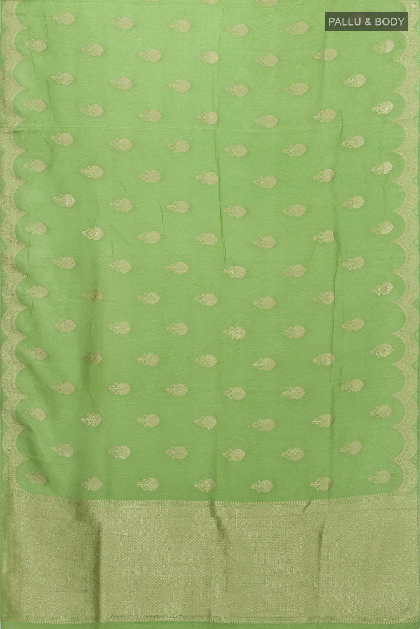 pallu body