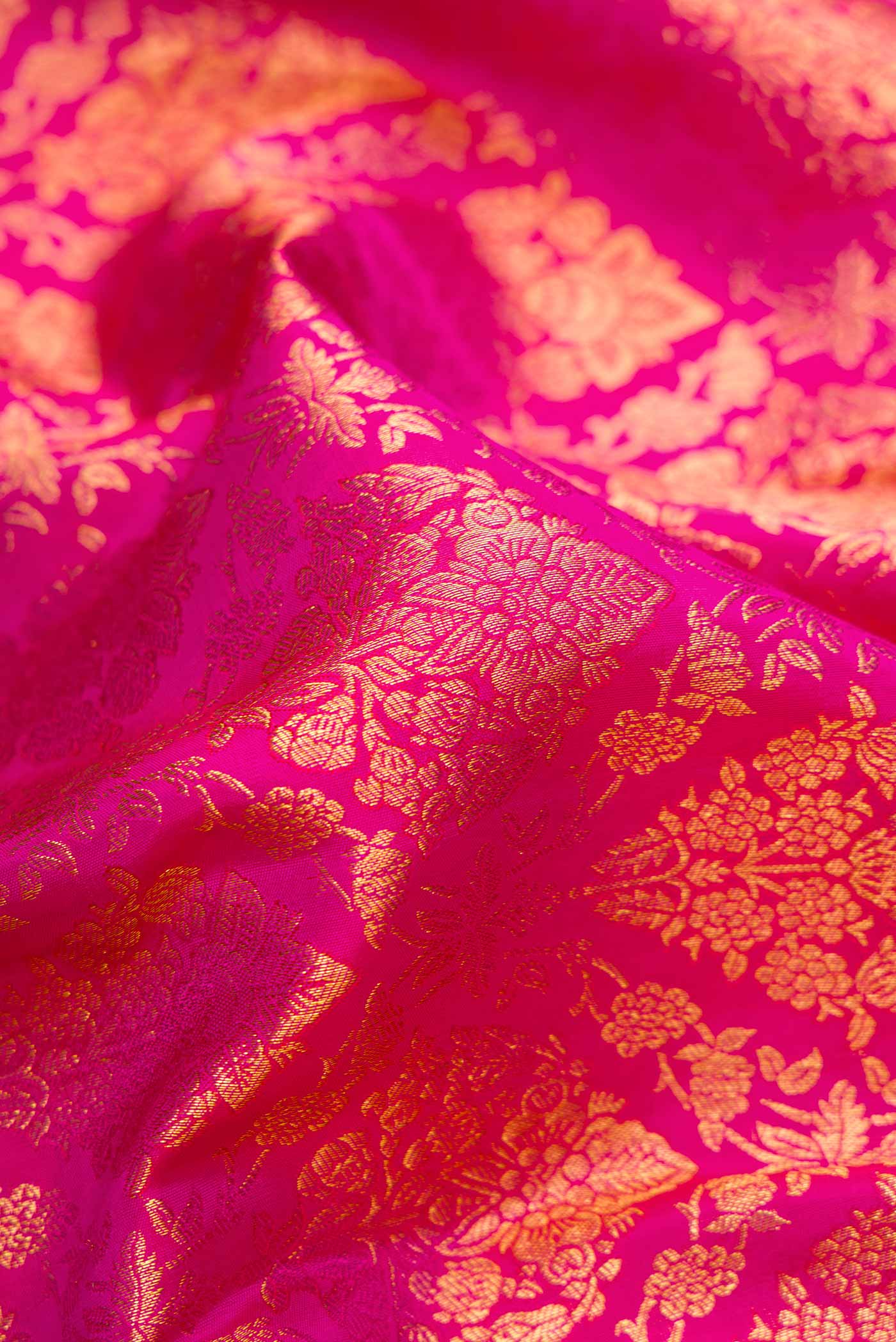 Close up of Pink Dual Tone Kanjivaram Silk Saree with Zari Brocade on the body and Zari Border.  displaying folds
