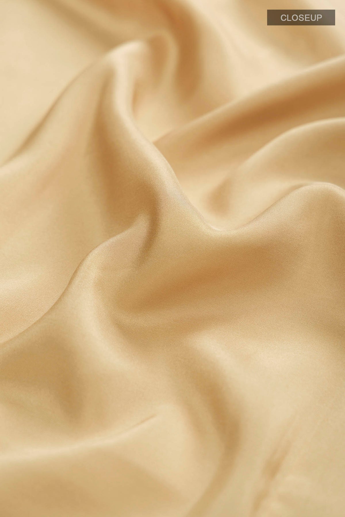 Close up of Pure Silk Pure Zari Beige Mysore Crepe Saree with Plain Body and Zari Border displaying folds