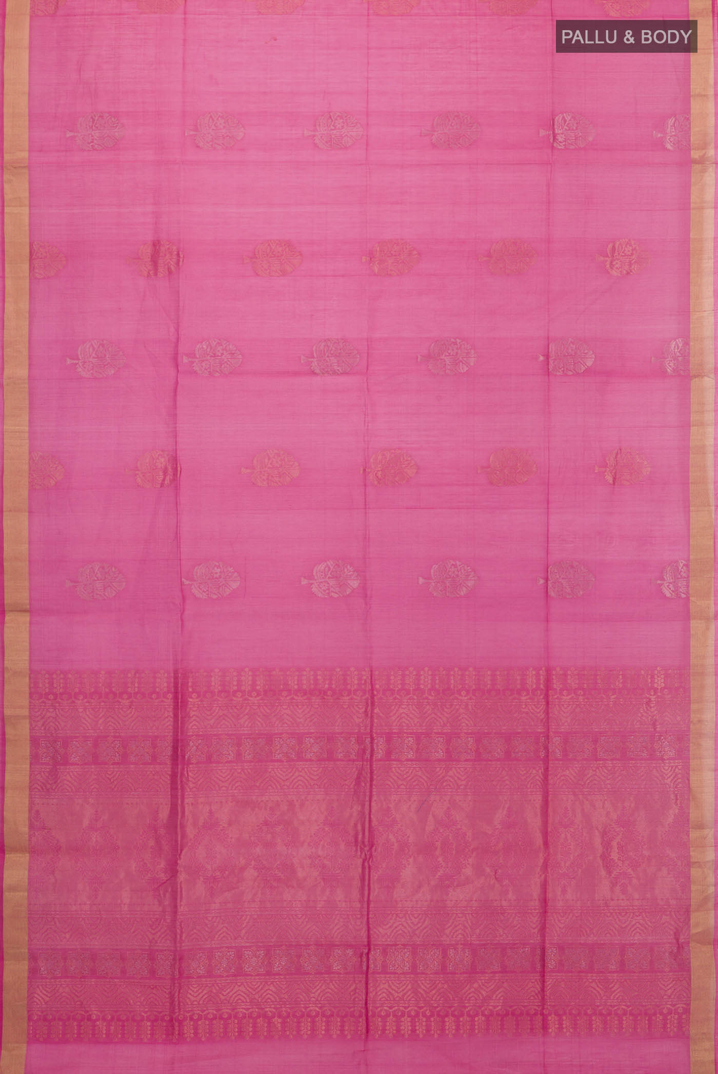 pallu body