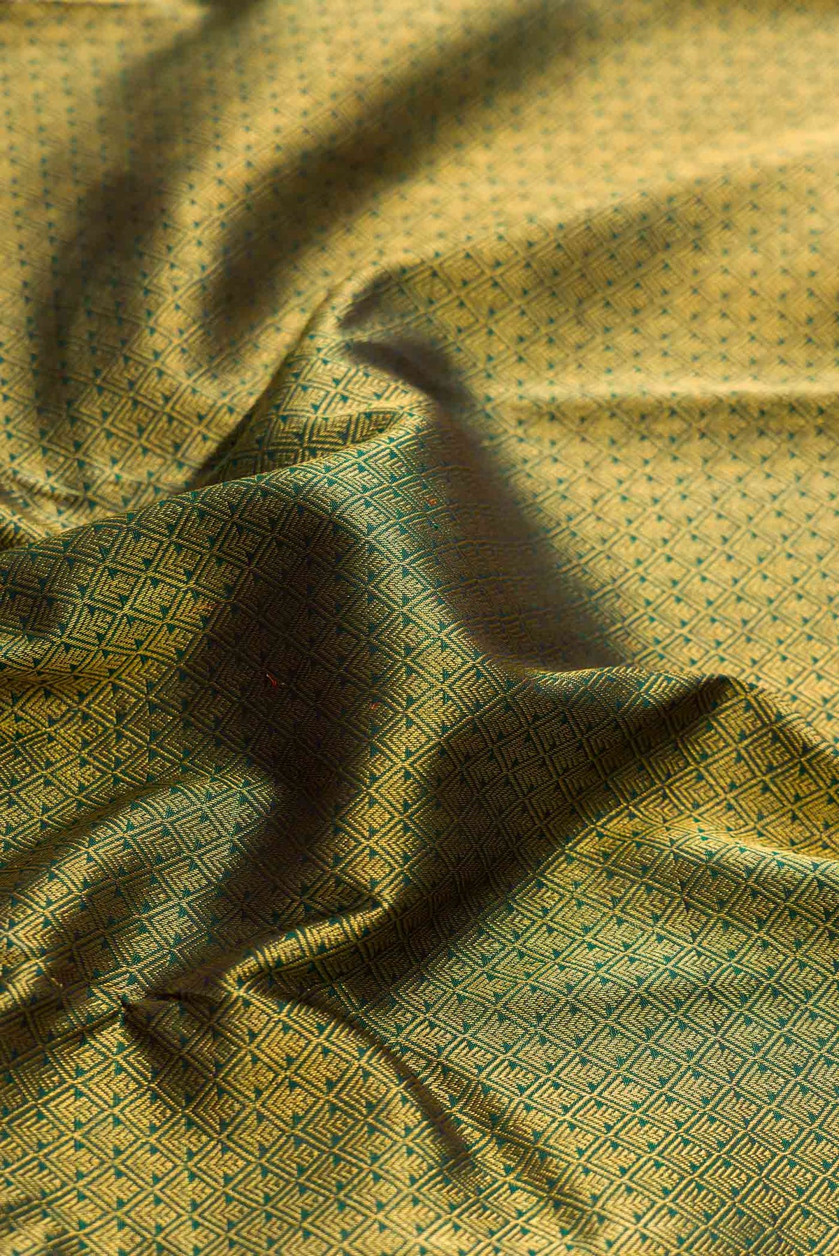 Close up of Green Dual Tone Kanchipuram Silk Saree with Zari Brocade on the body and Fancy Border displaying folds