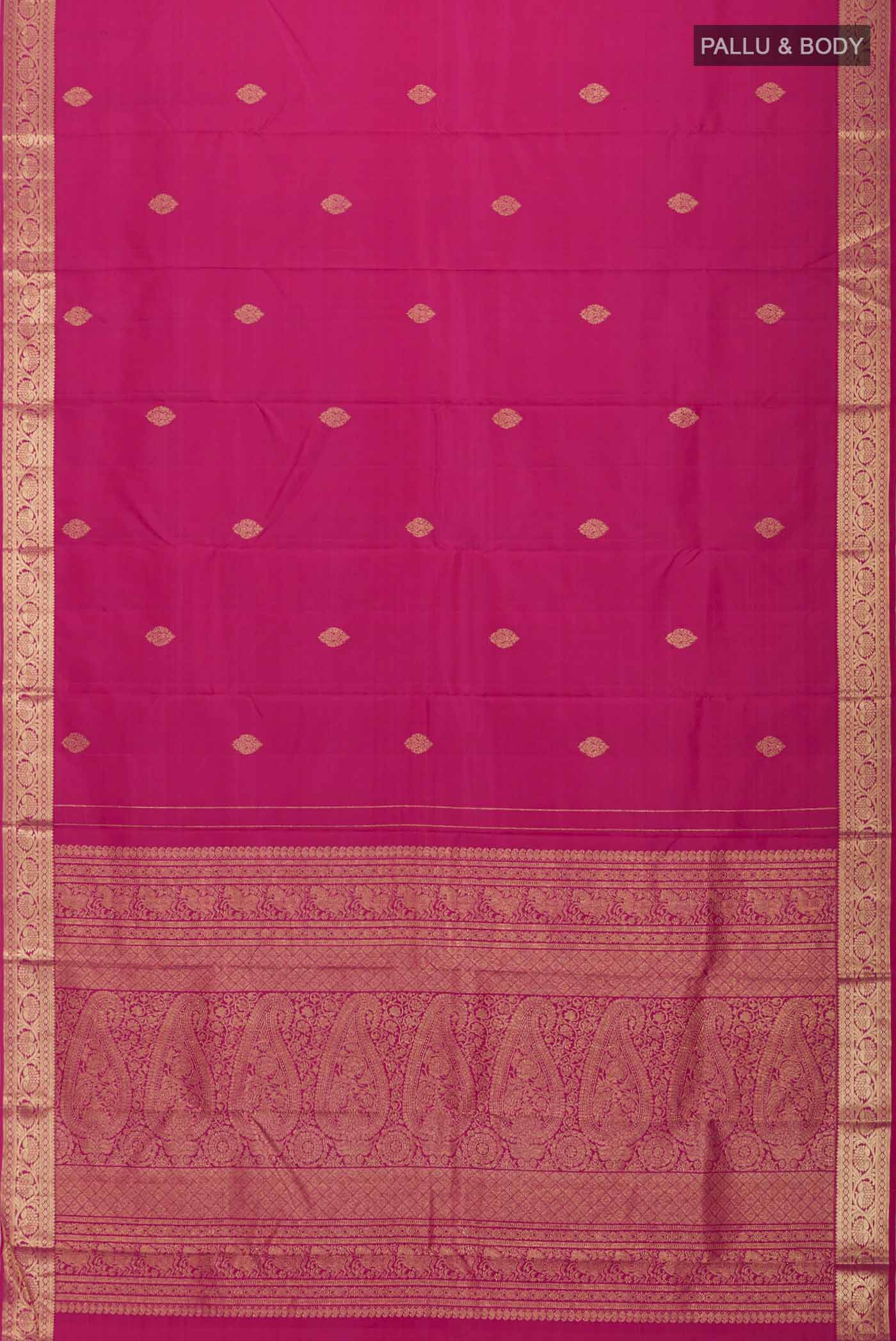 pallu body