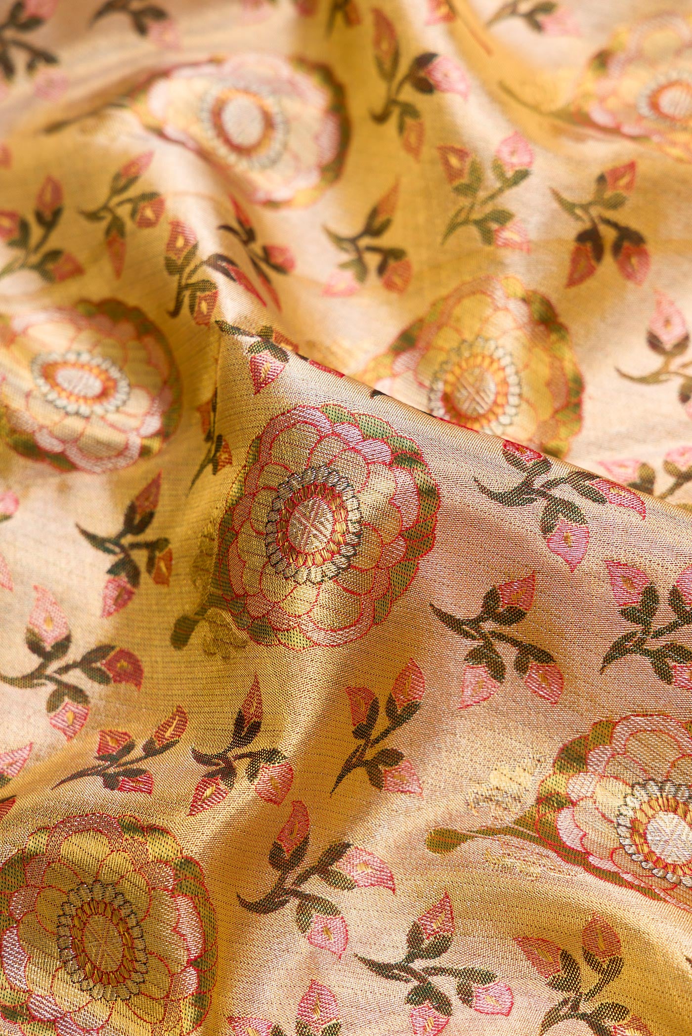 Close up of Gold Dual Tone Kanjivaram Tissue Silk Saree with Zari Brocade on the body and Zari Border.  displaying folds