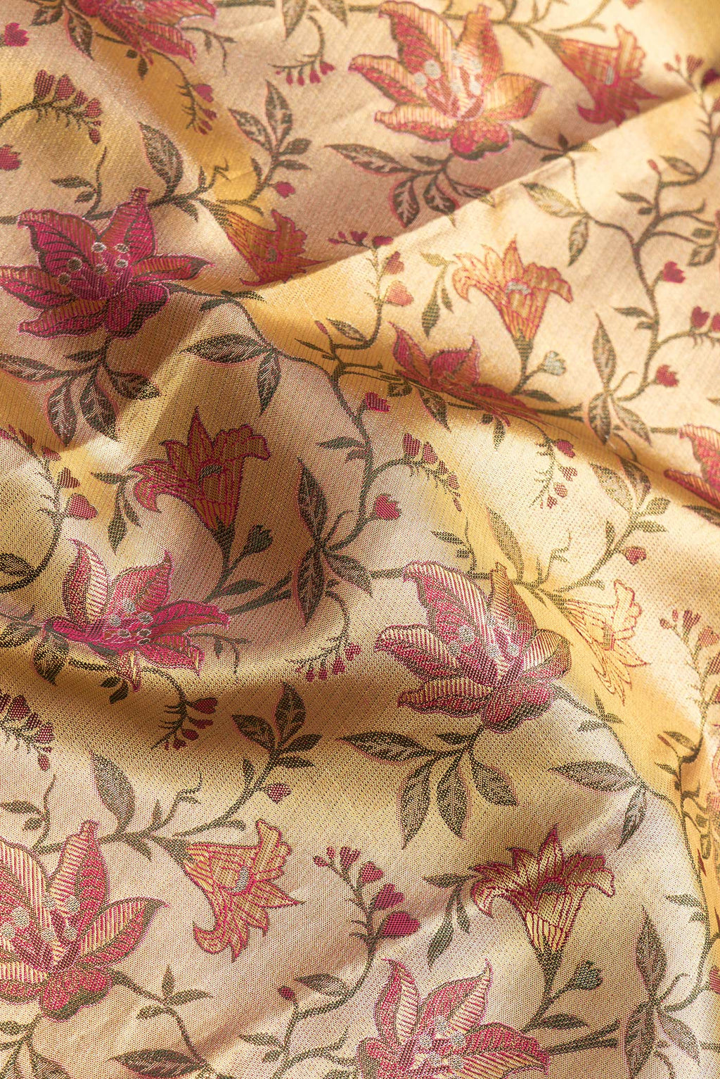 Close up of Gold Dual Tone Kanchipuram Tissue Silk Saree with Zari Brocade on the body and Zari Border.  displaying folds