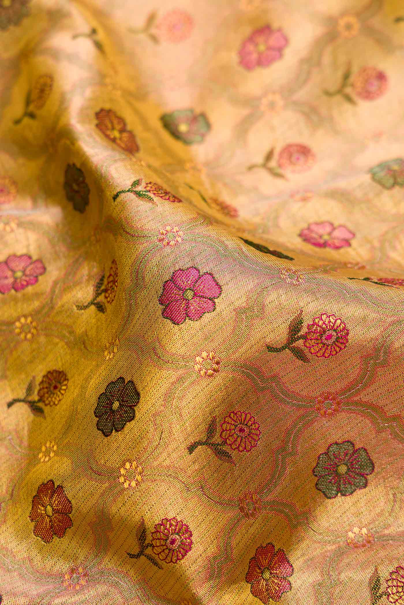 Close up of Gold Dual Tone Kanchipuram Tissue Silk Saree with Zari Brocade on the body and Zari Border.  displaying folds