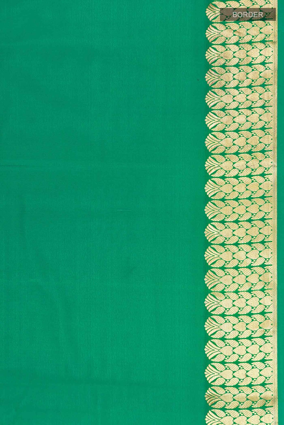 Border image of Green Mysore Crepe Saree with Plain Body and Zari Border