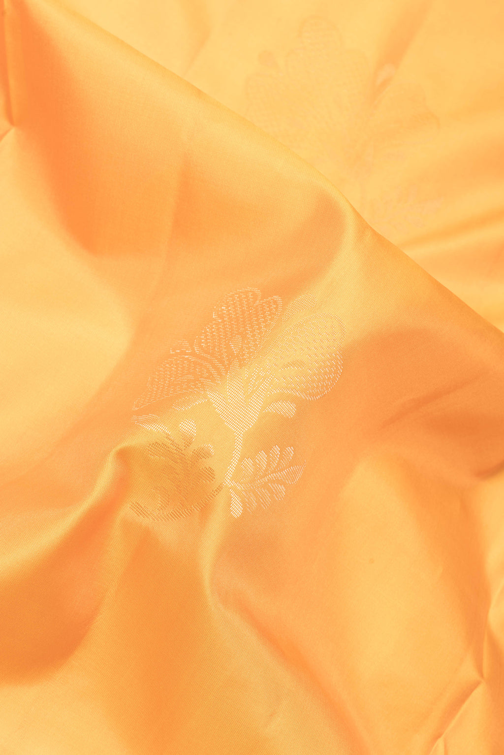 Close up of Yellow Soft Silk Saree with Zari Butta on the body and Plain Border.  displaying folds