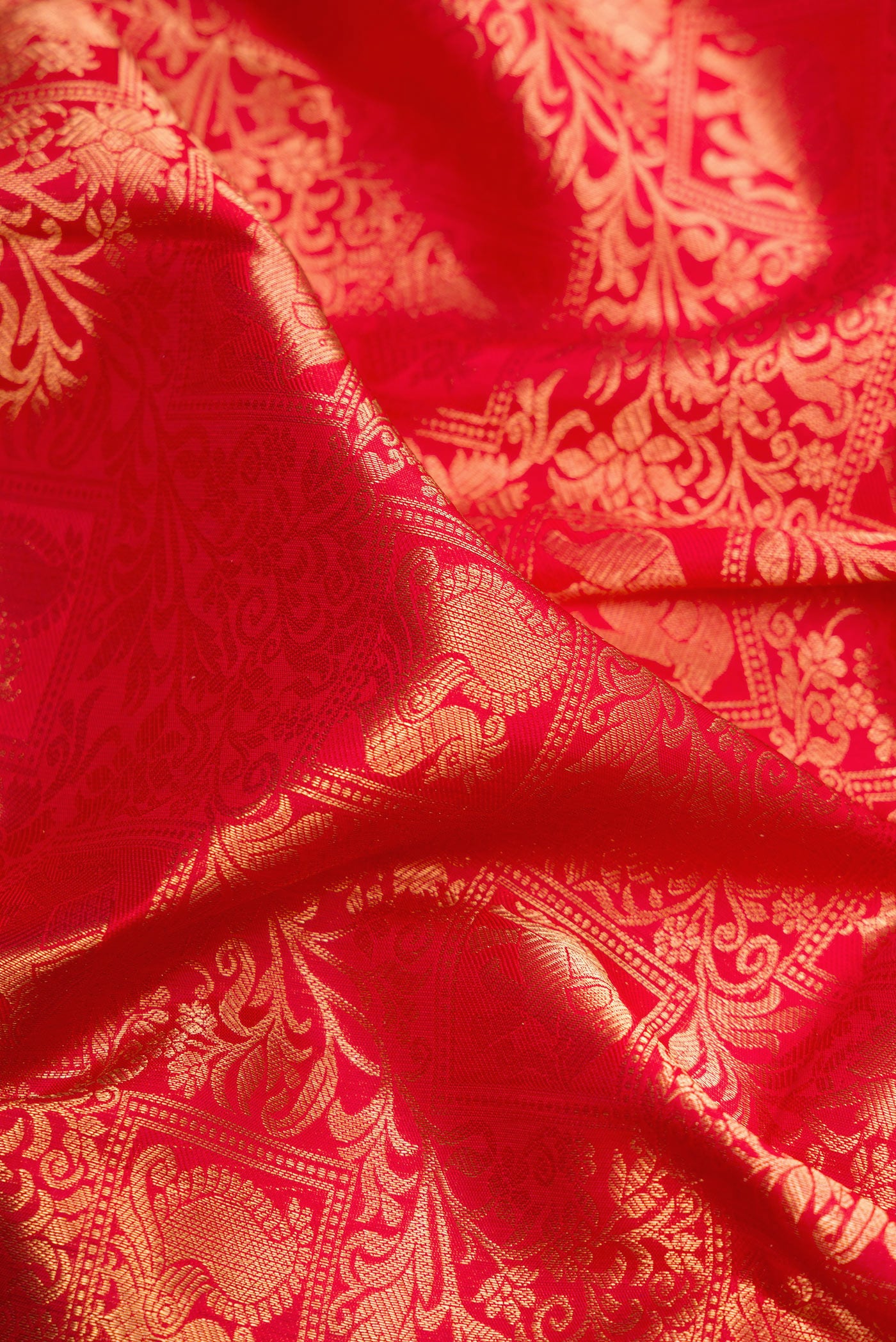 Close up of Red Kanchipuram Silk Saree with Zari Brocade on the body and Zari Border.  displaying folds