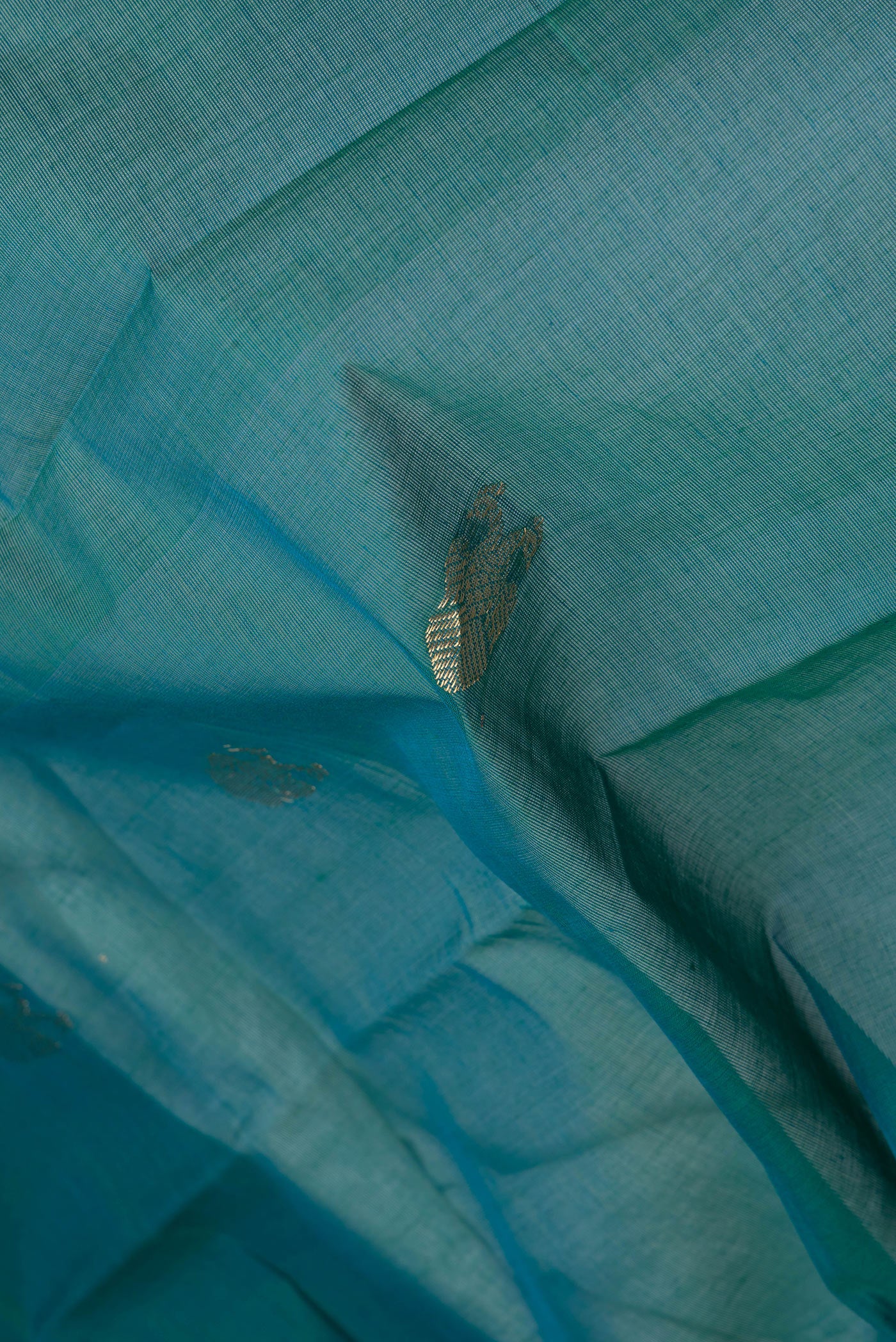 Close up of Peacock Blue Kanchi Cotton Saree with Zari Butta on the body and Plain Border.  displaying folds