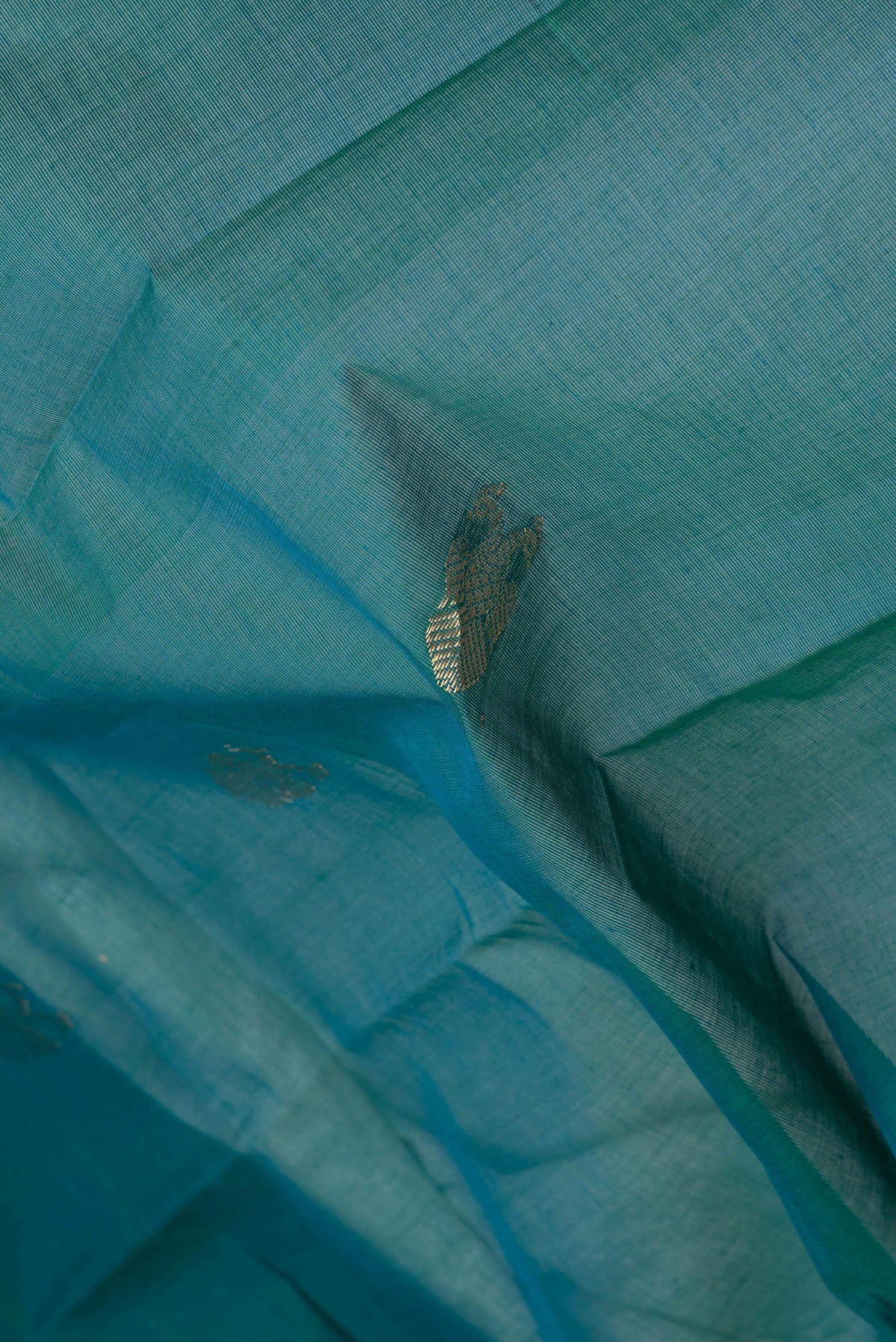 Close up of Peacock Blue Kanchi Cotton Saree with Zari Butta on the body and Plain Border.  displaying folds