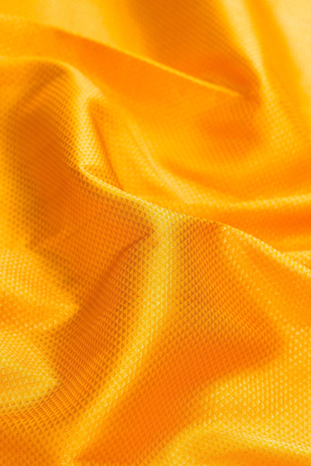 Close up of Yellow Dual Tone Kanchipuram Silk Saree with Zari Brocade on the body and Zari Border displaying folds