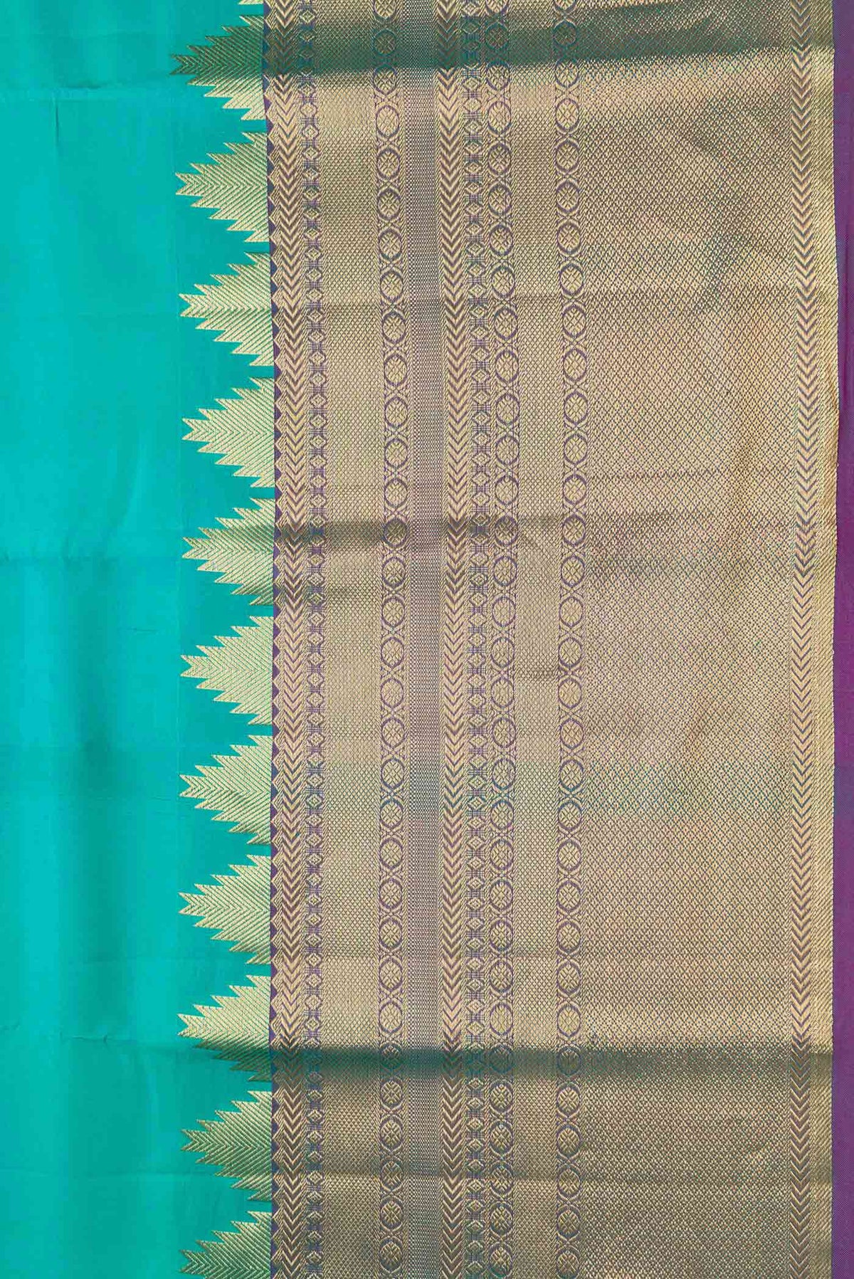 Border image of Sea Green Dual Tone Kanchipuram Silk Saree with Plain Body and Fancy Border