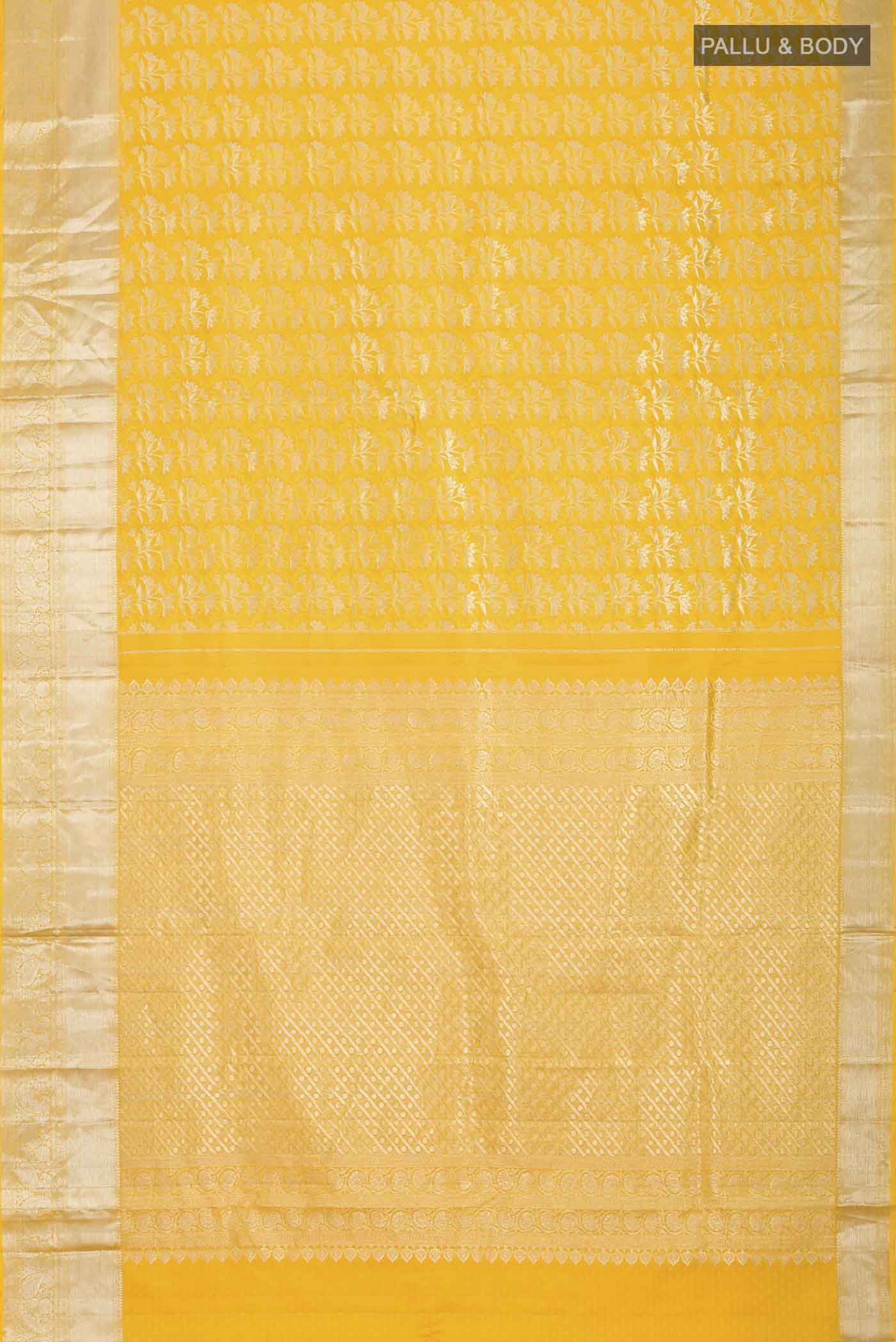 pallu body