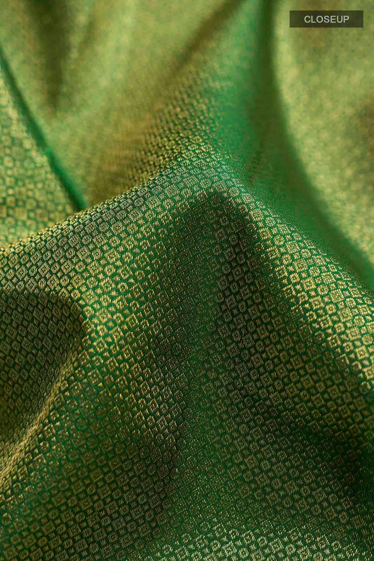 Close up of Green Kanchipuram Silk Saree with Zari Brocade on the body and Zari Border displaying folds