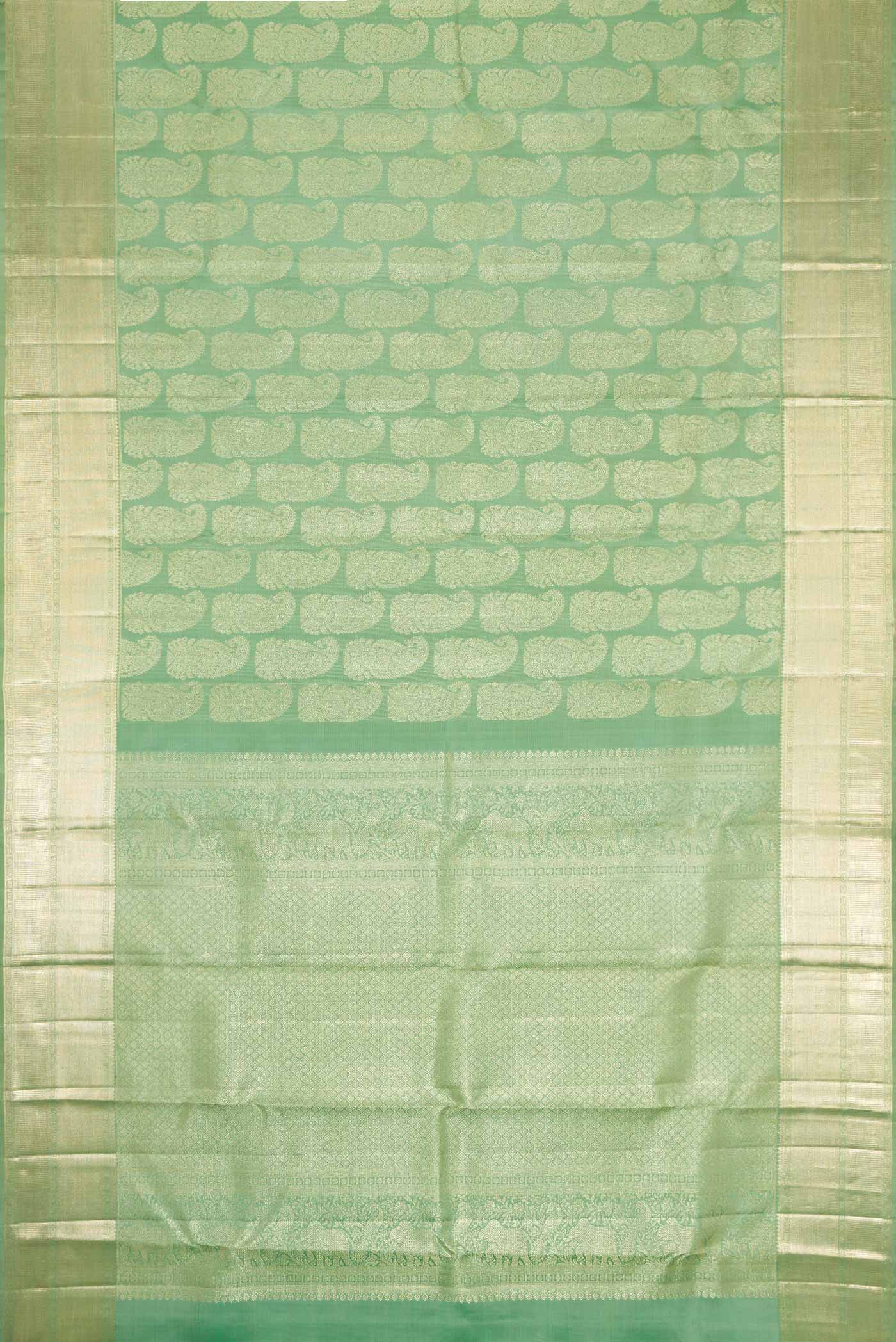 pallu body