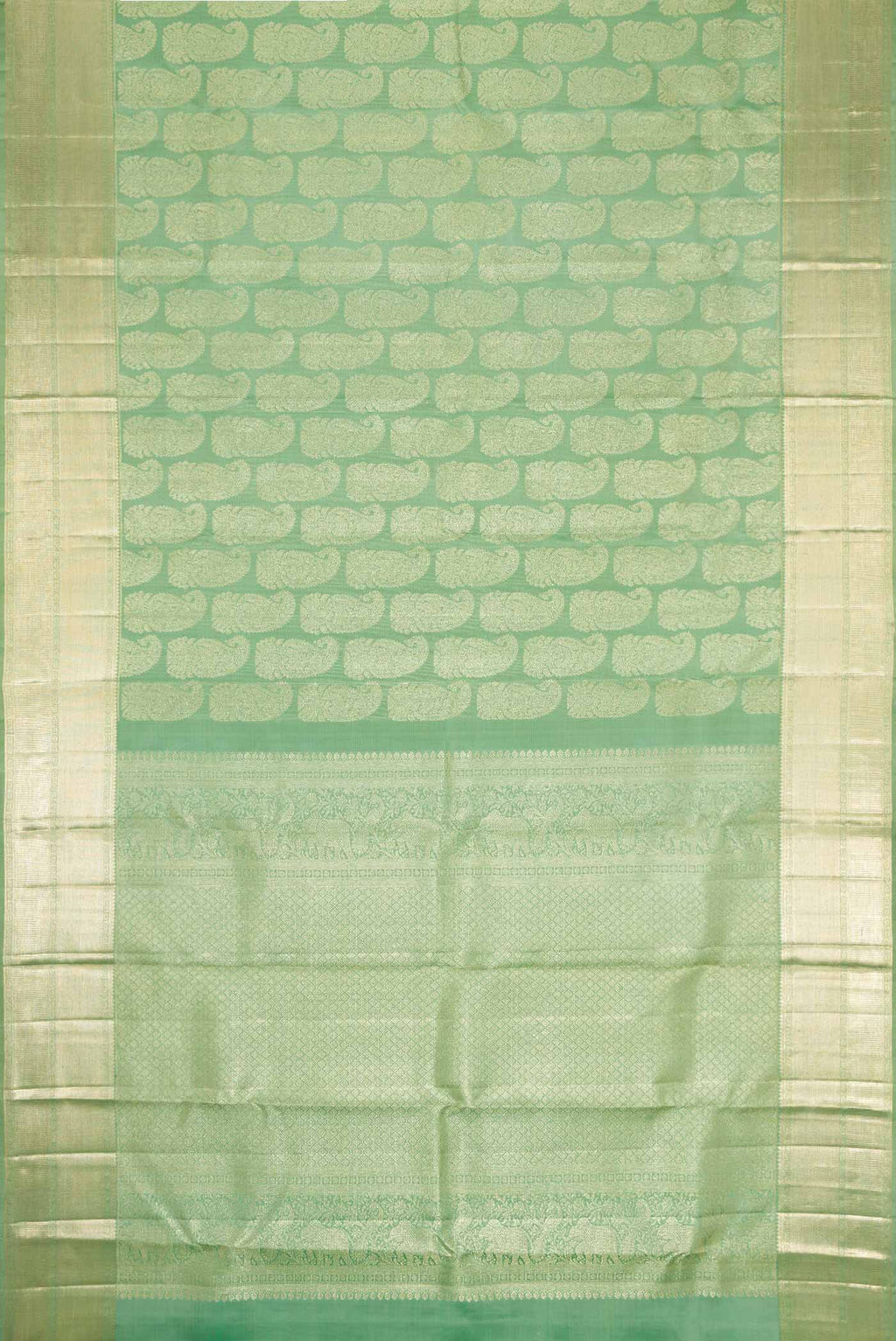 pallu body