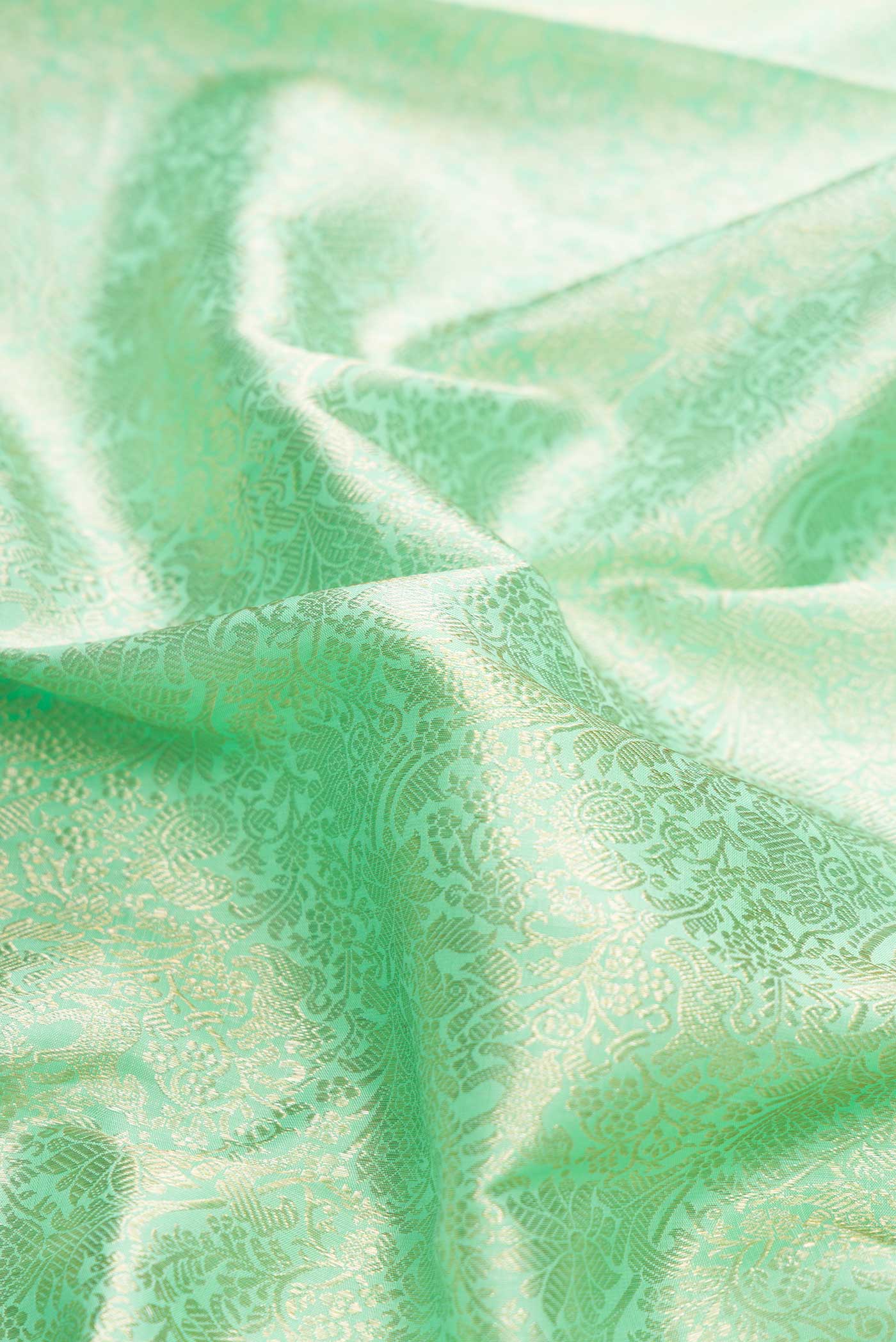 Close up of Light Green Dual Tone Kanchipuram Silk Saree with Zari Brocade on the body and Zari Border displaying folds