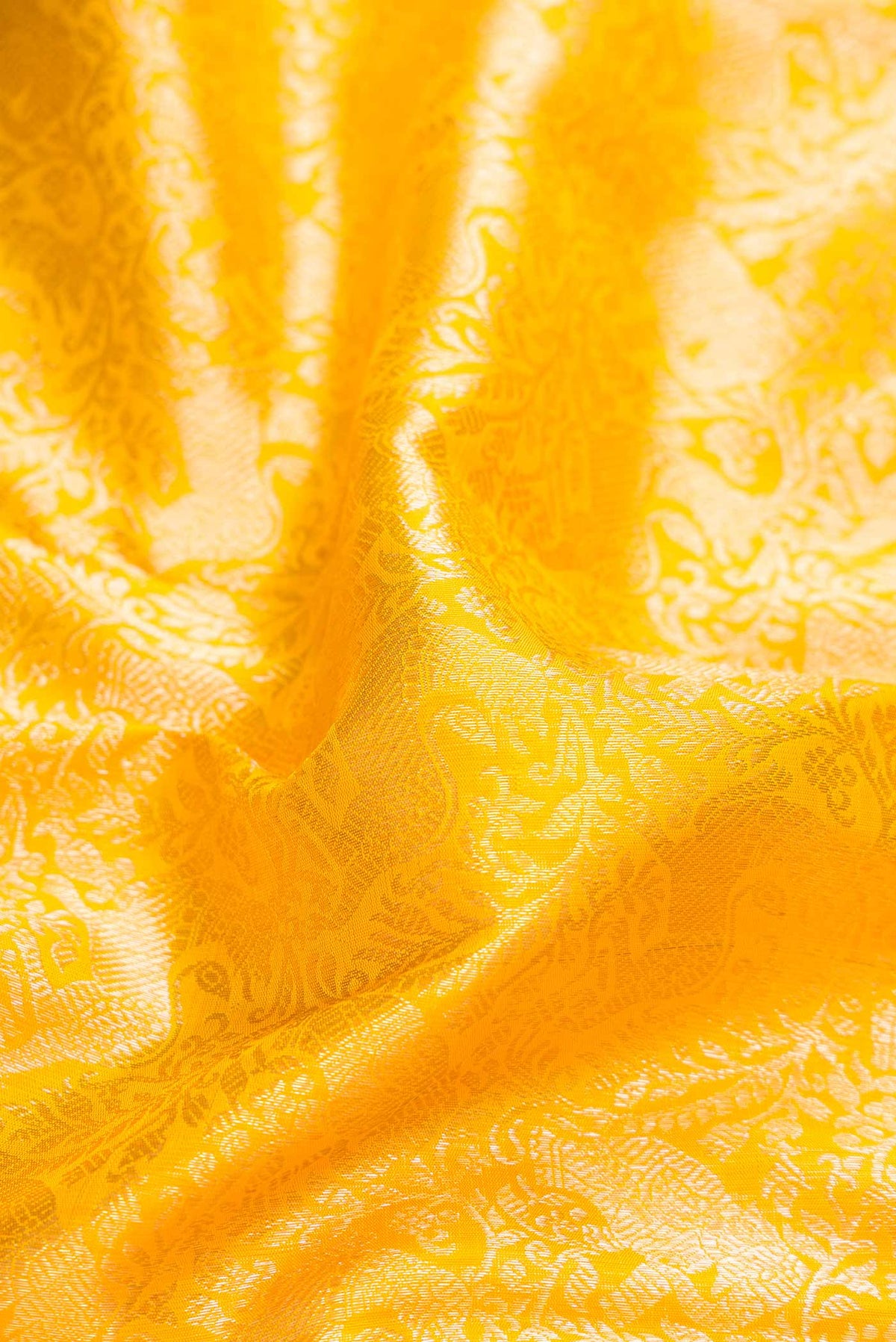 Close up of Yellow Dual Tone Kanchipuram Silk Saree with Zari Brocade on the body and Zari Border displaying folds