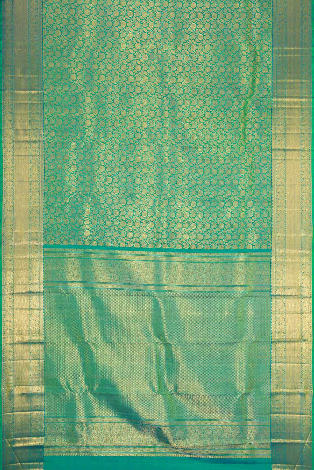 pallu body
