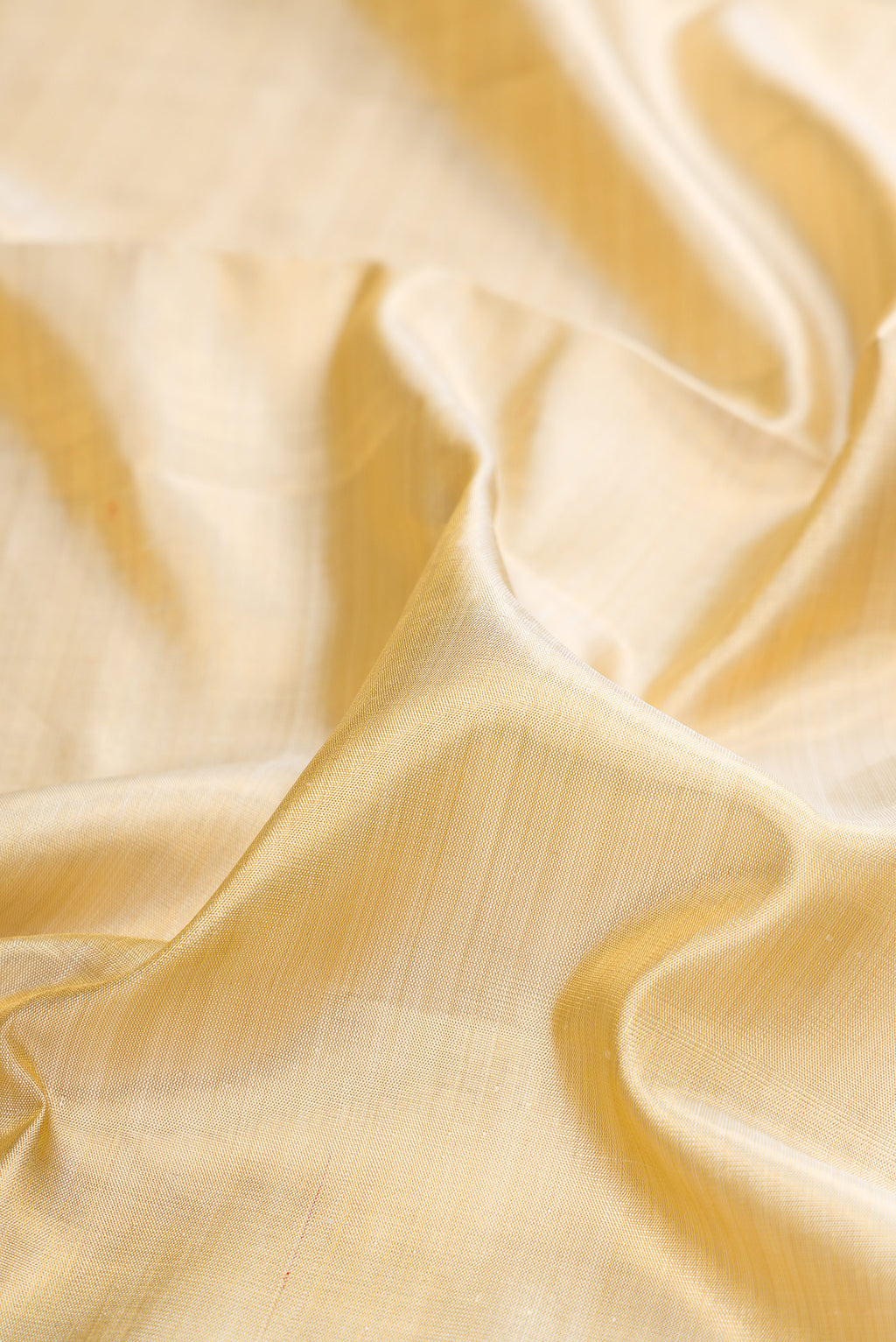 Close up of Gold Dual Tone Kanchipuram Tissue Silk Saree with Zari Brocade on the body and Zari Border.  displaying folds