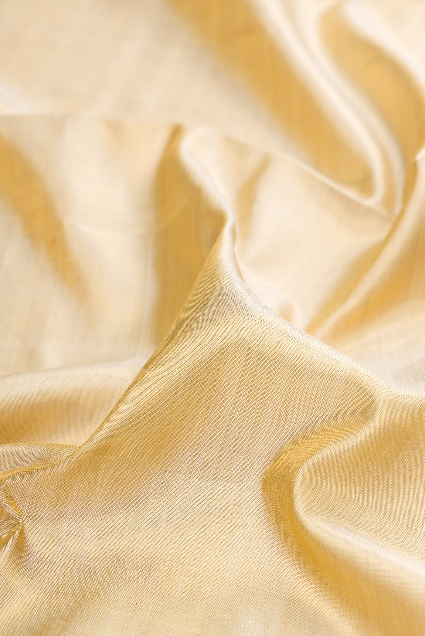 Close up of Gold Dual Tone Kanchipuram Tissue Silk Saree with Zari Brocade on the body and Zari Border.  displaying folds