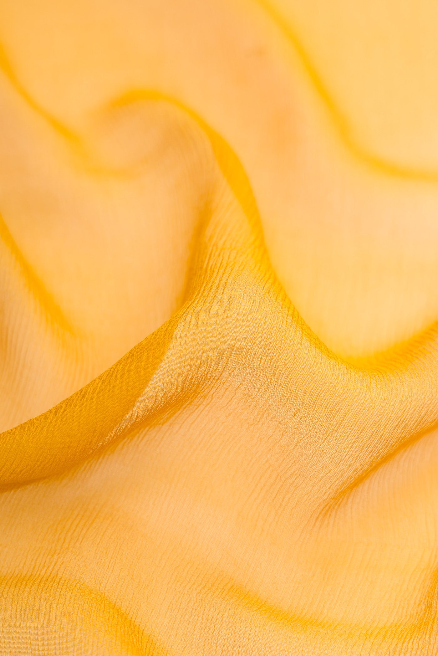 Close up of Mustard Mysore Chiffon Saree with Plain Body and Zari Border.  displaying folds