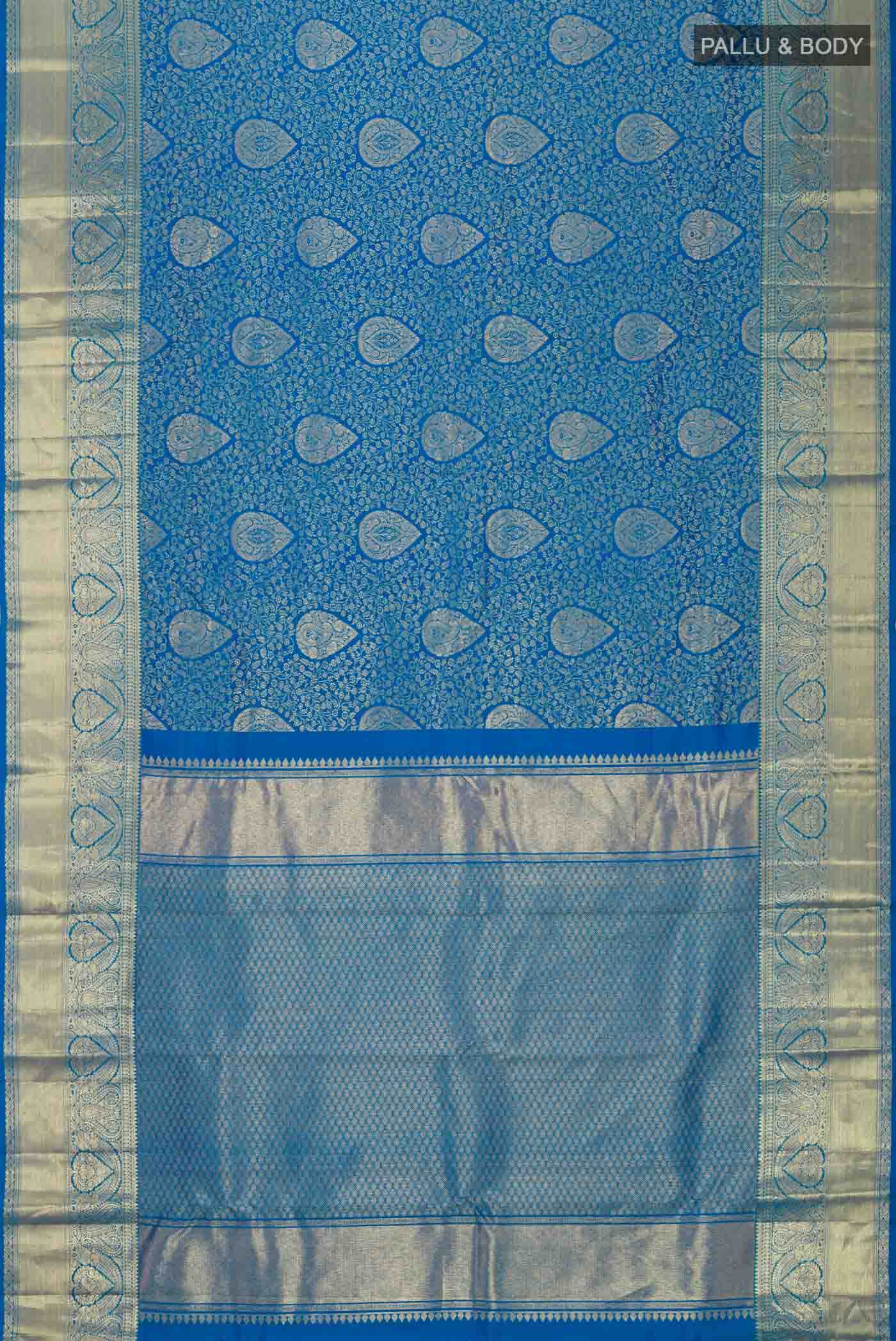 pallu body