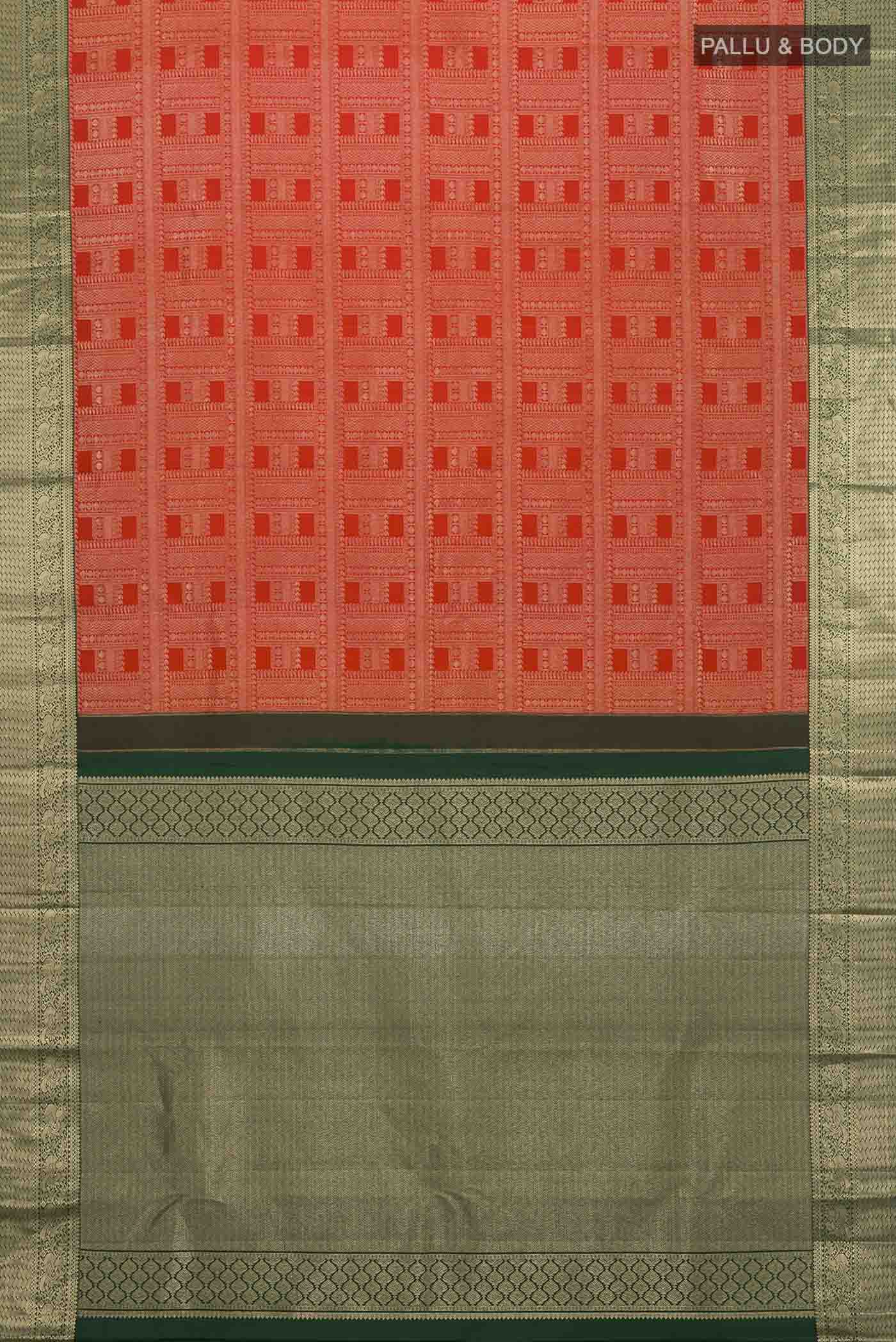 pallu body