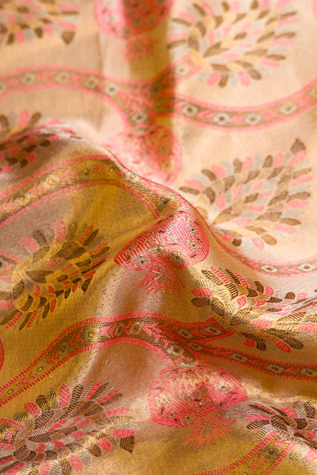Close up of Gold Dual Tone Kanjivaram Tissue Silk Saree with Zari Brocade on the body and Zari Border.  displaying folds