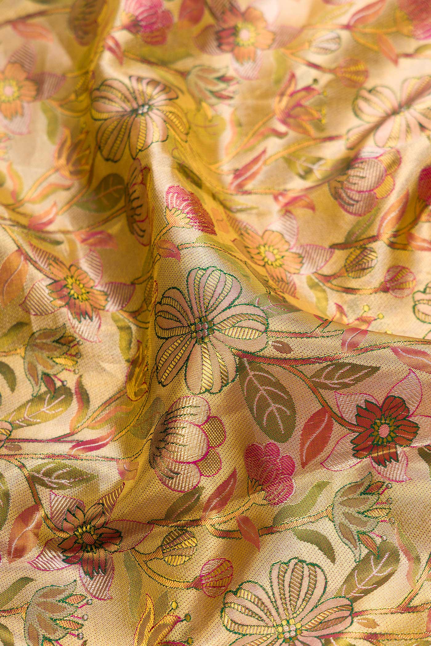 Close up of Gold Dual Tone Kanchipuram Tissue Silk Saree with Zari Brocade on the body and Zari Border.  displaying folds