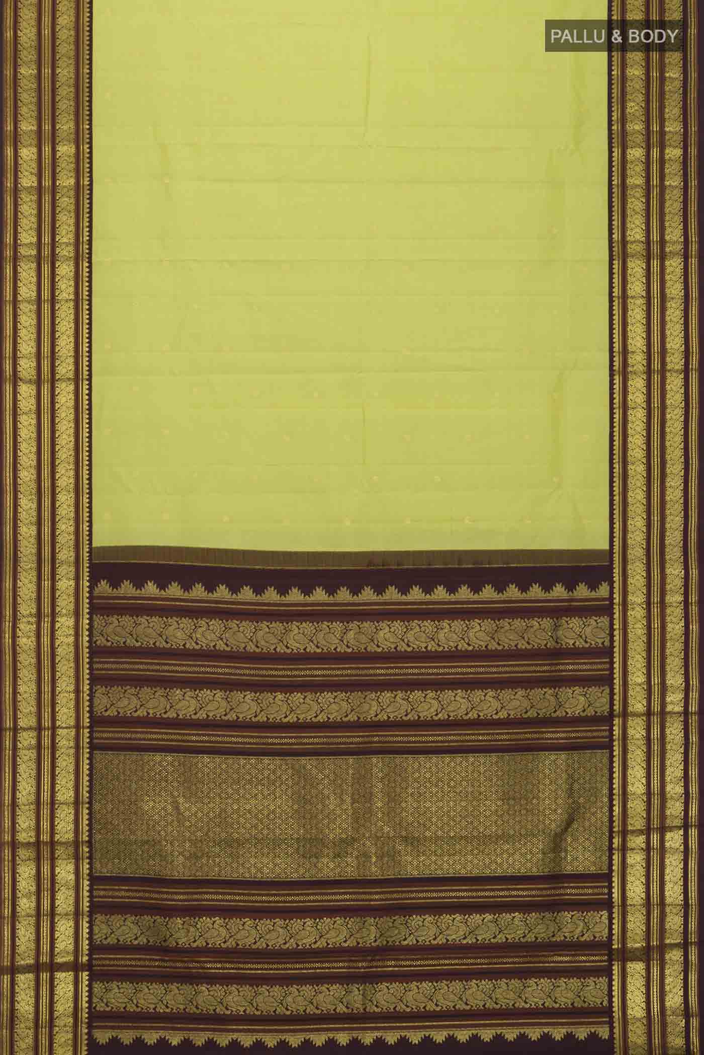 pallu body