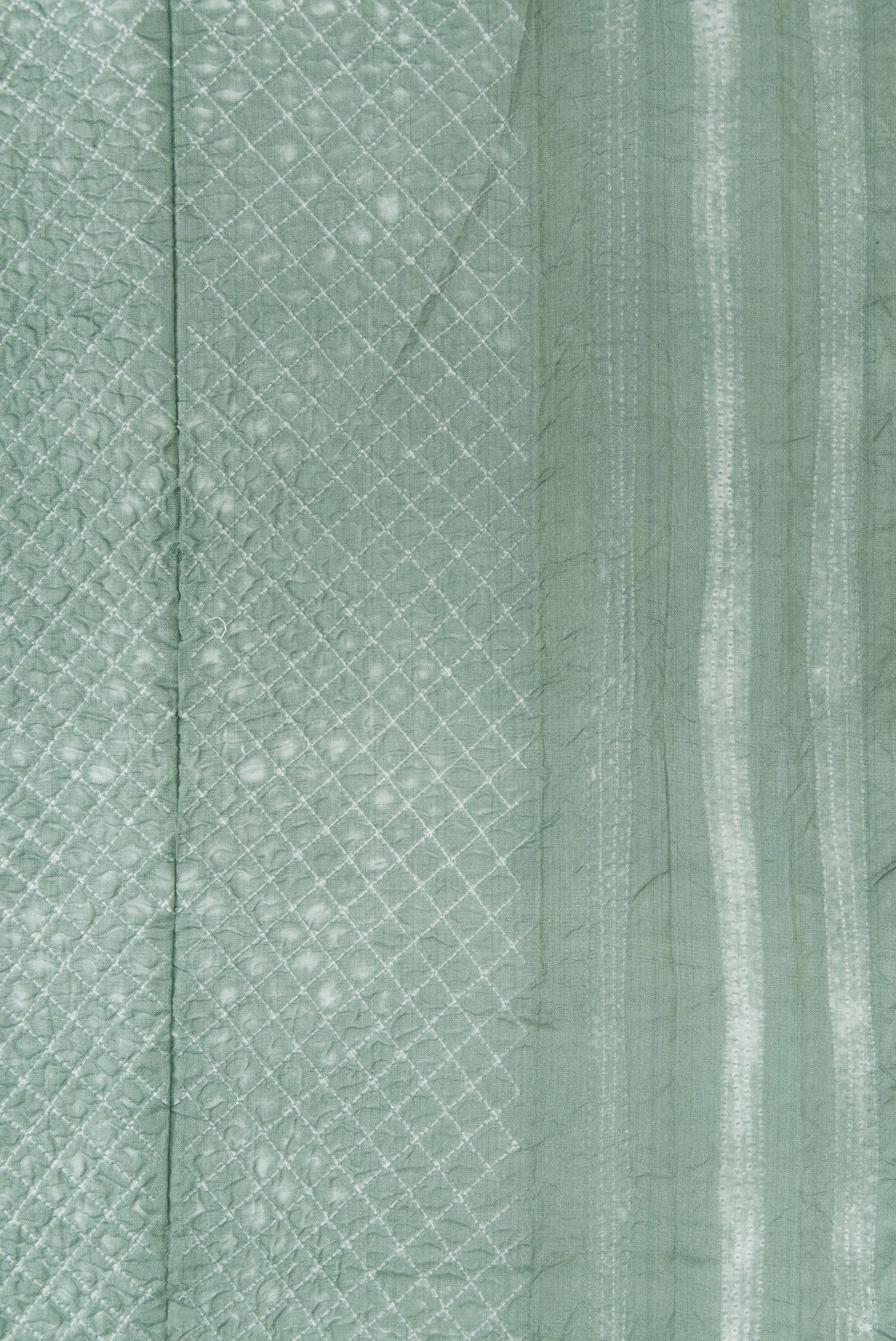 Border image of Light Green Dual Tone Tussar Silk Saree with Printed design on the body and Printed Border. 