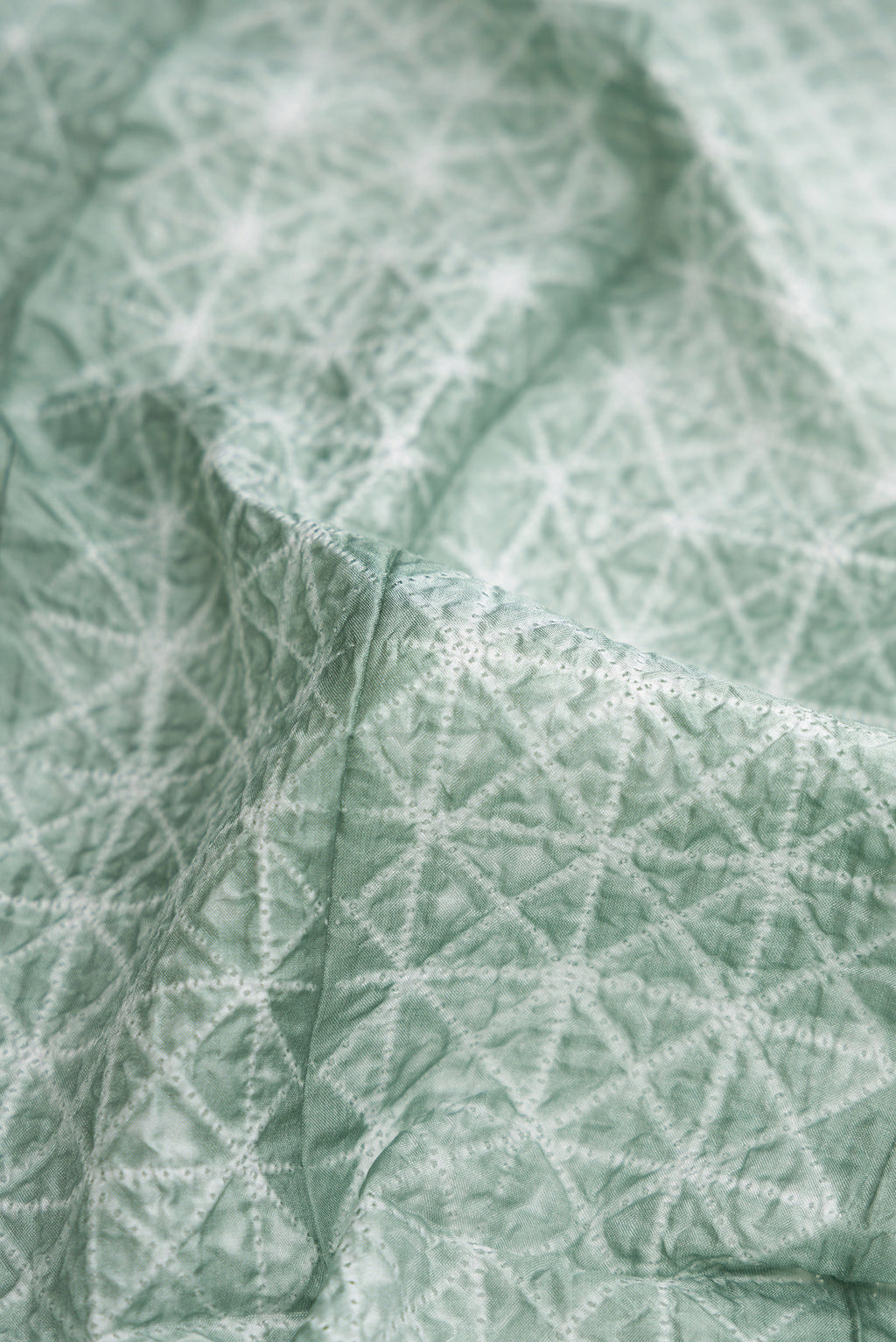 Close up of Light Green Dual Tone Tussar Silk Saree with Printed design on the body and Printed Border.  displaying folds