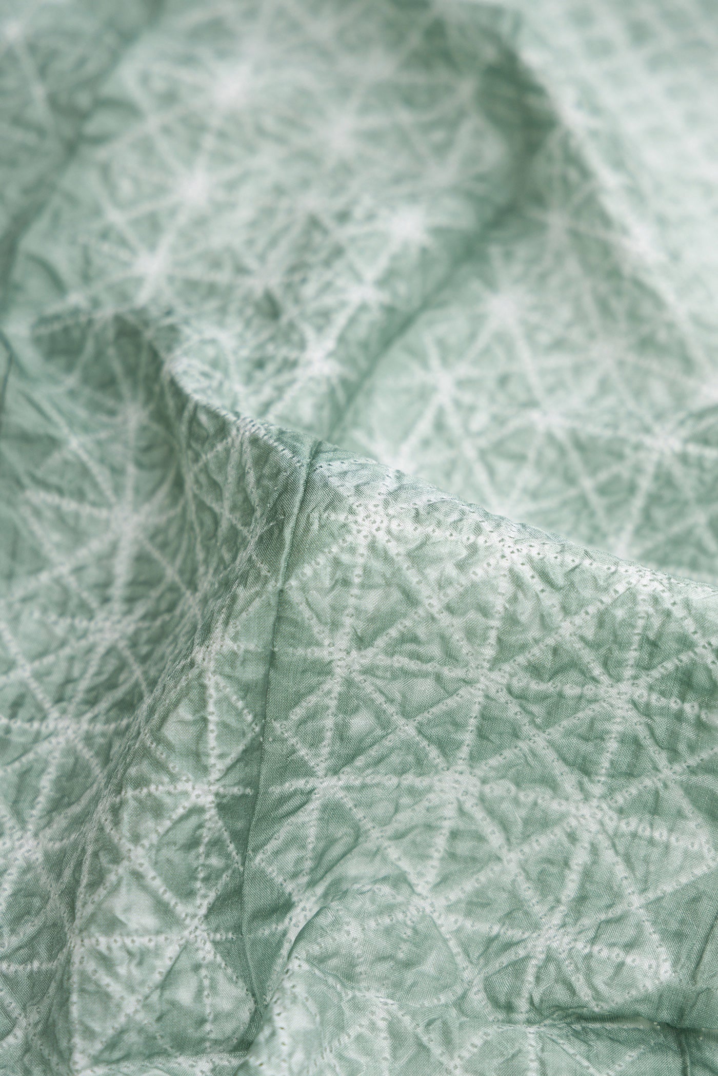Close up of Light Green Dual Tone Tussar Silk Saree with Printed design on the body and Printed Border.  displaying folds