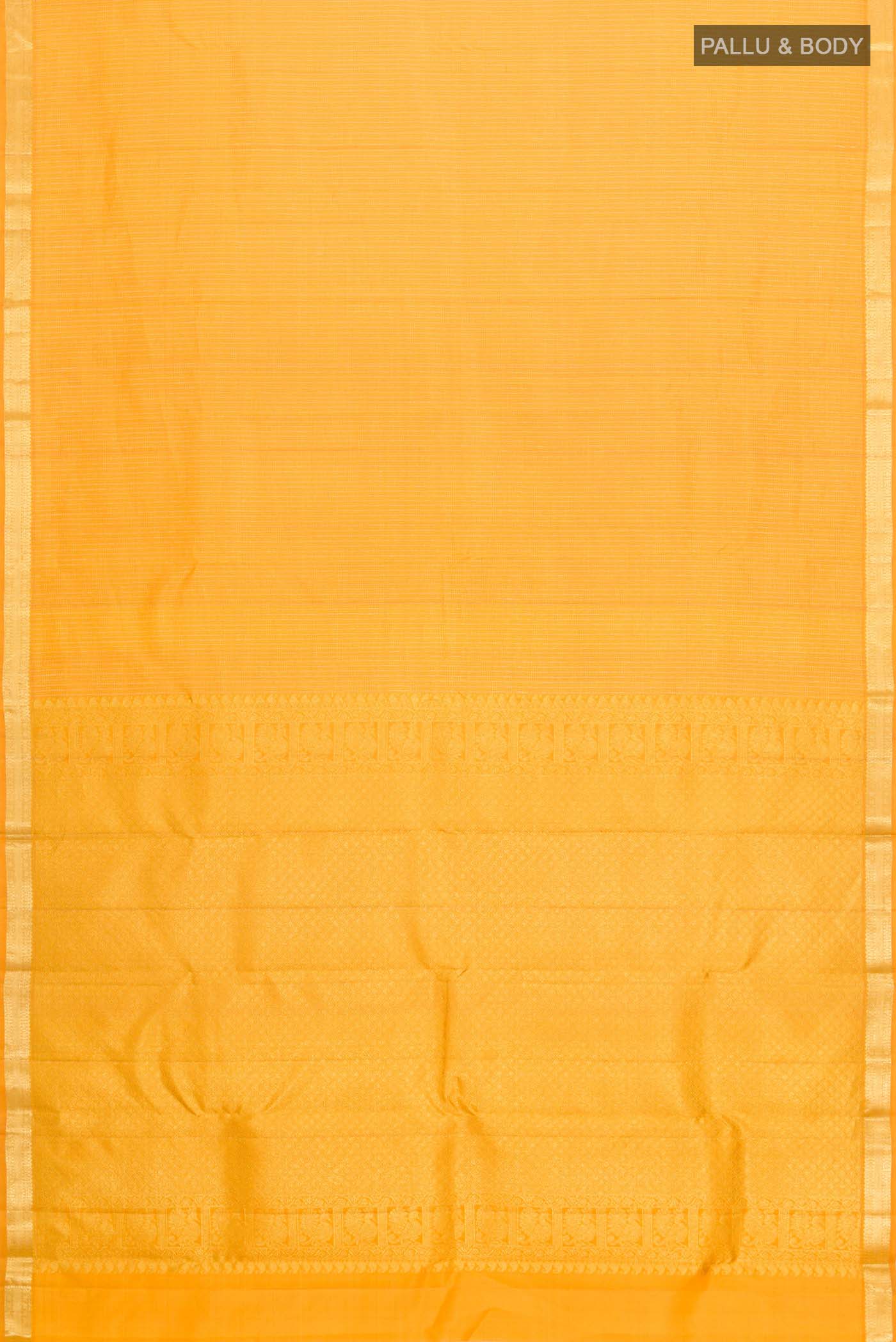 pallu body