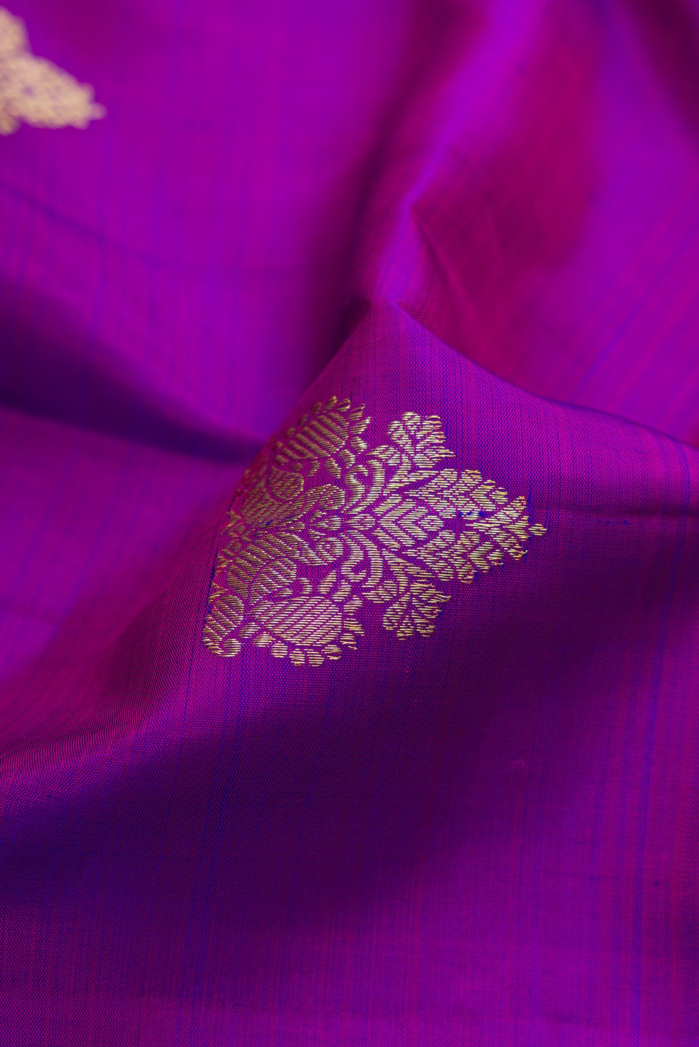 Close up of Purple Kanjivaram Silk Saree with Zari Butta on the body and Fancy Border.  displaying folds
